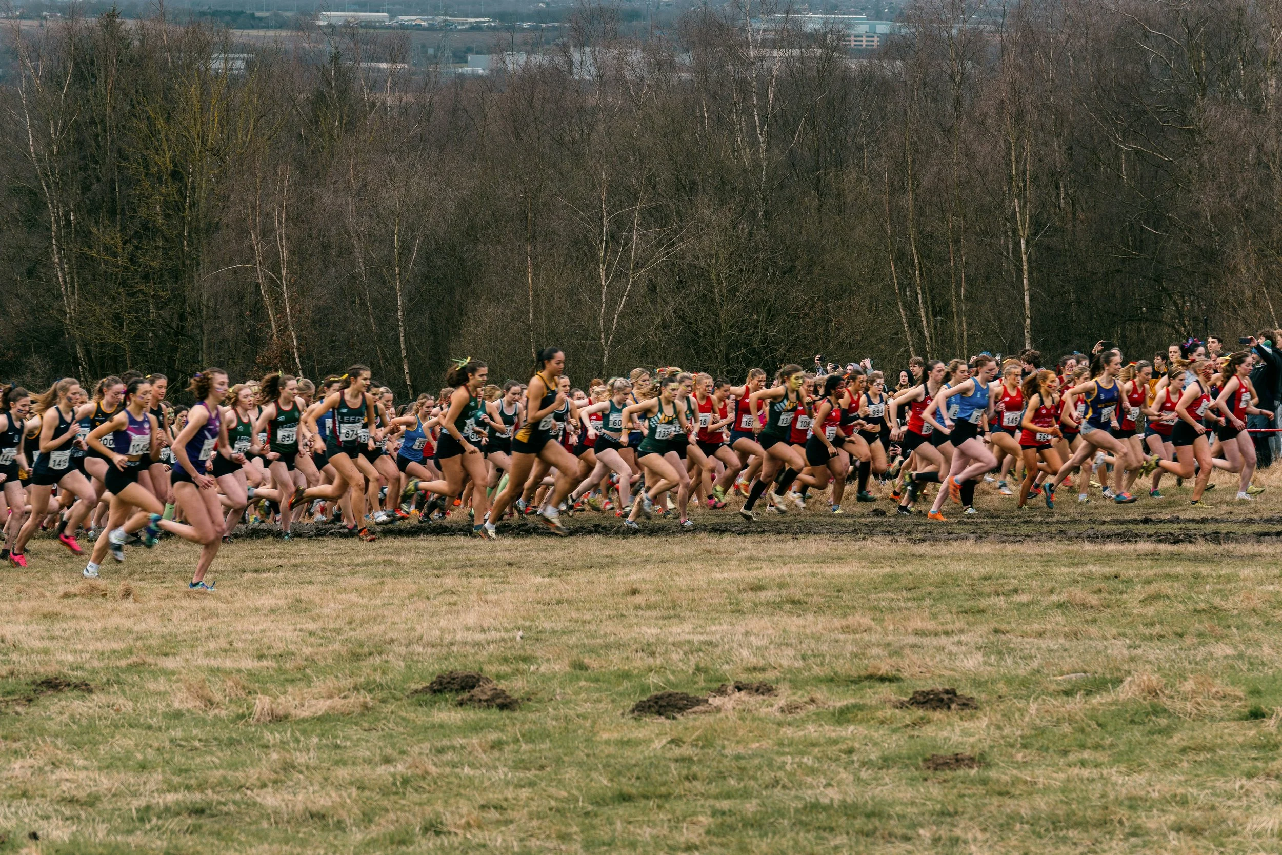 A large group of women participating in a cross-country race outdoors on a grassy field, with trees in the background.