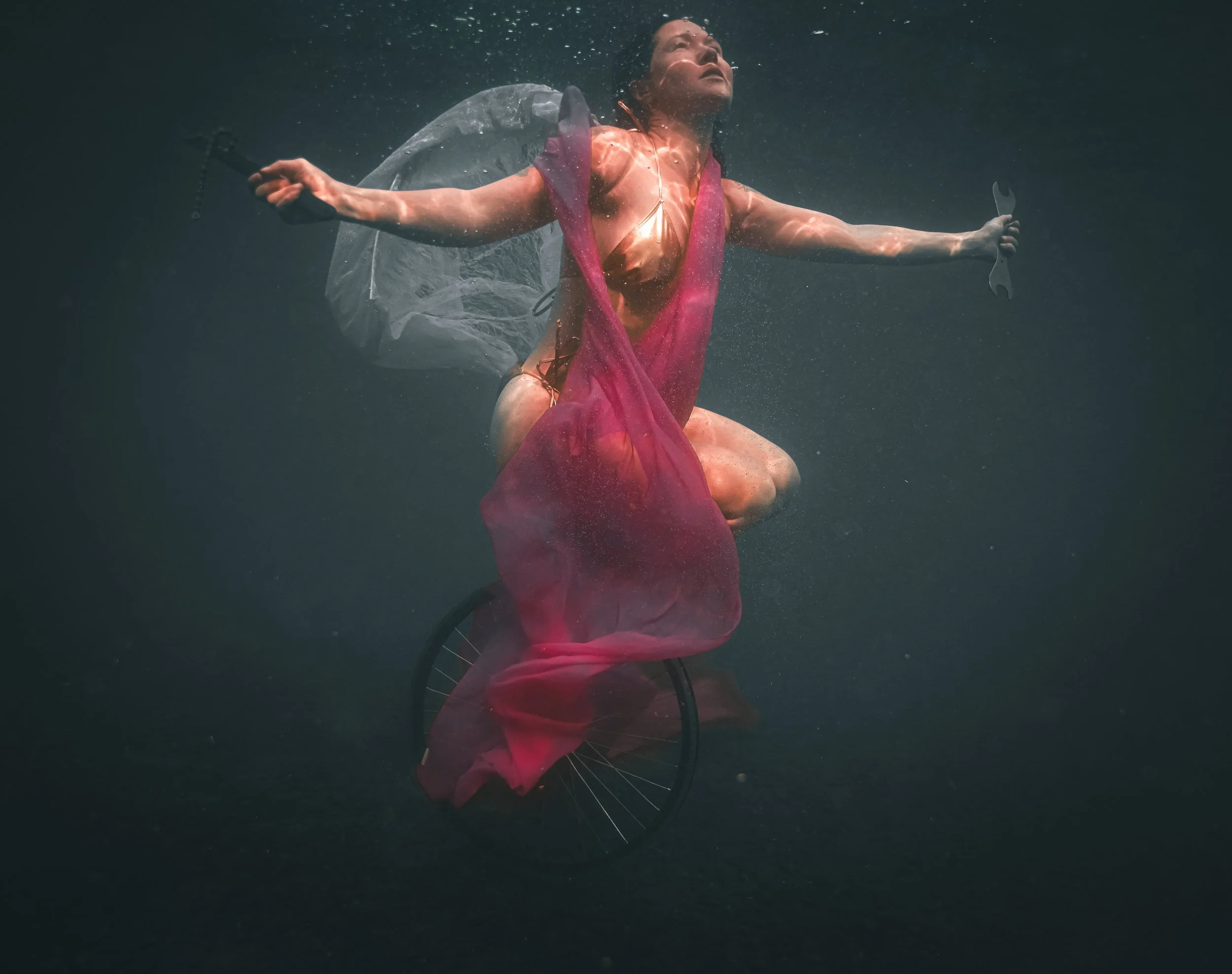 The Allegory of Fortune