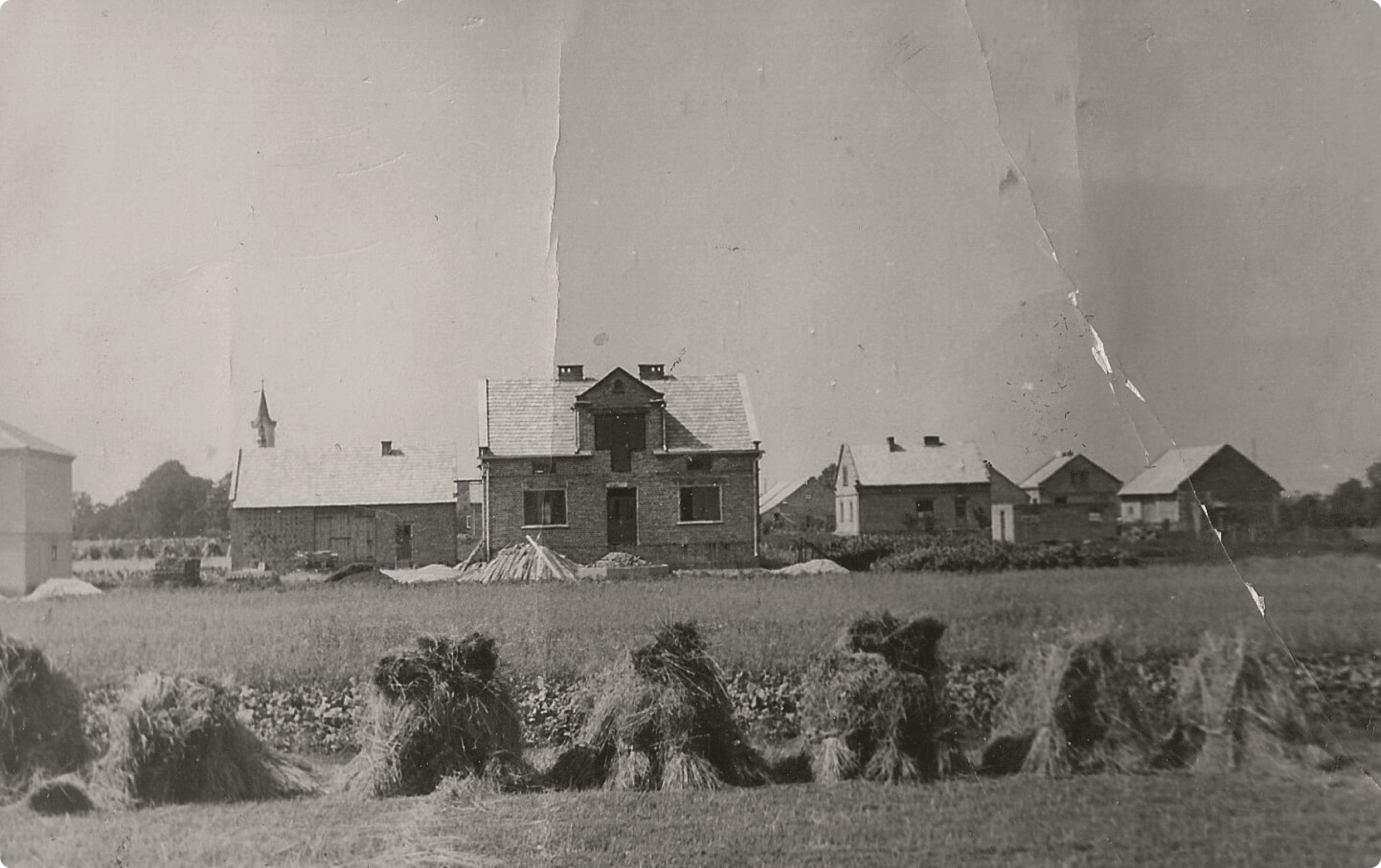 Small Business Owner