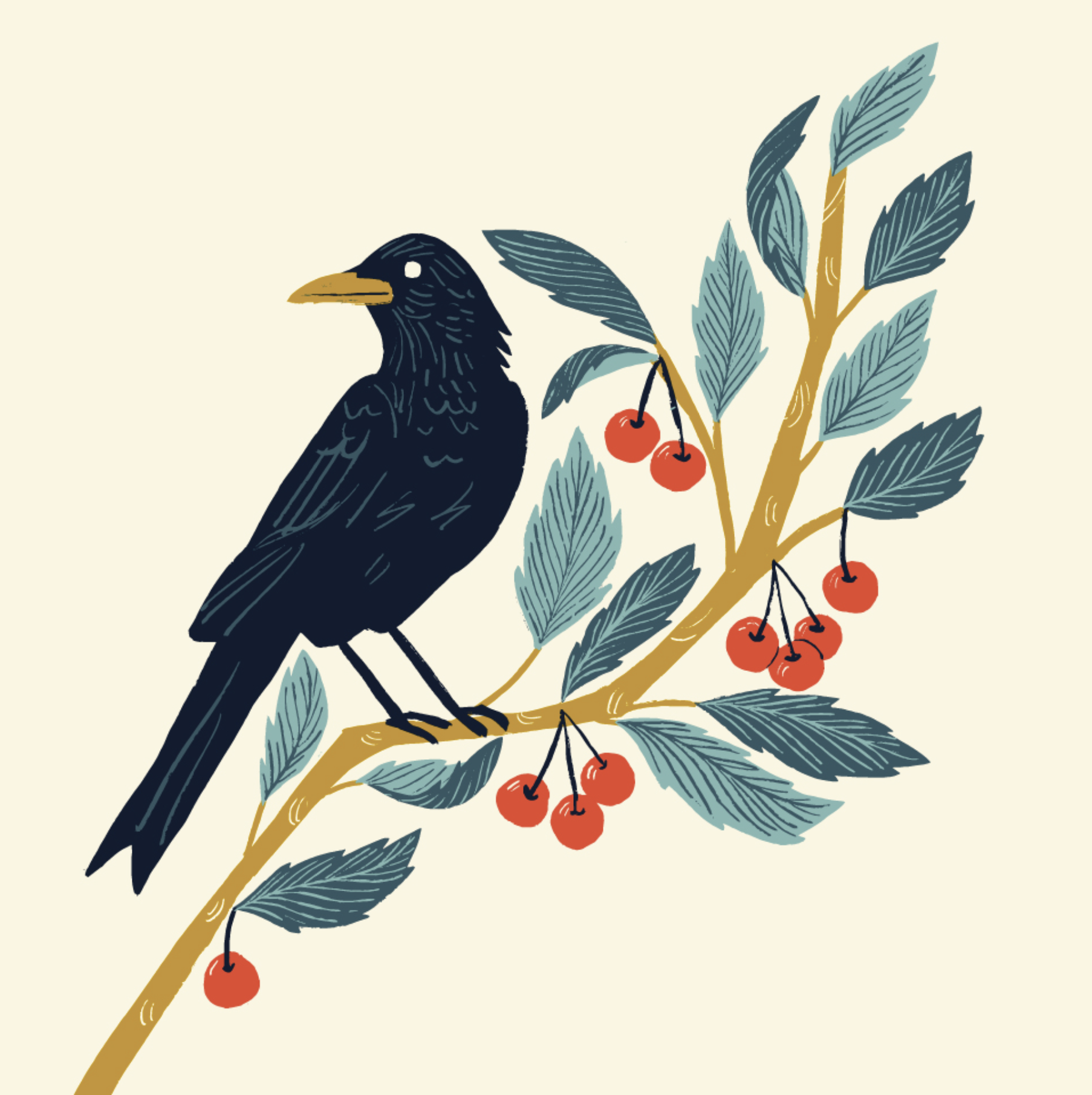 crow-cherries.png