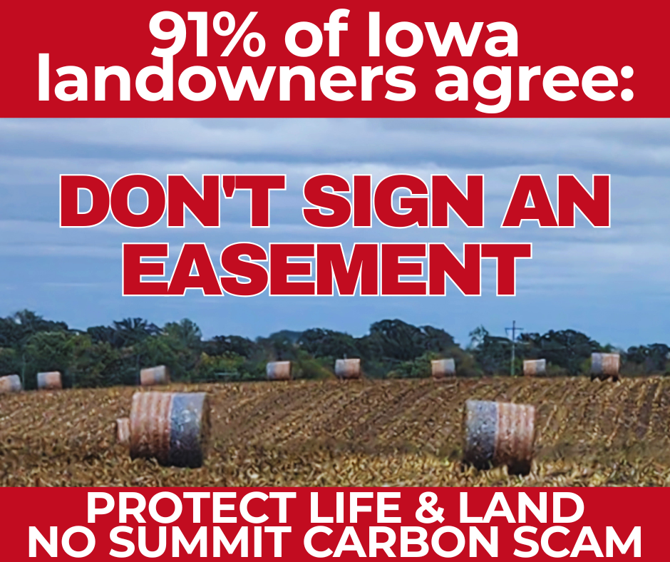 Copy of You reap what you sow..png