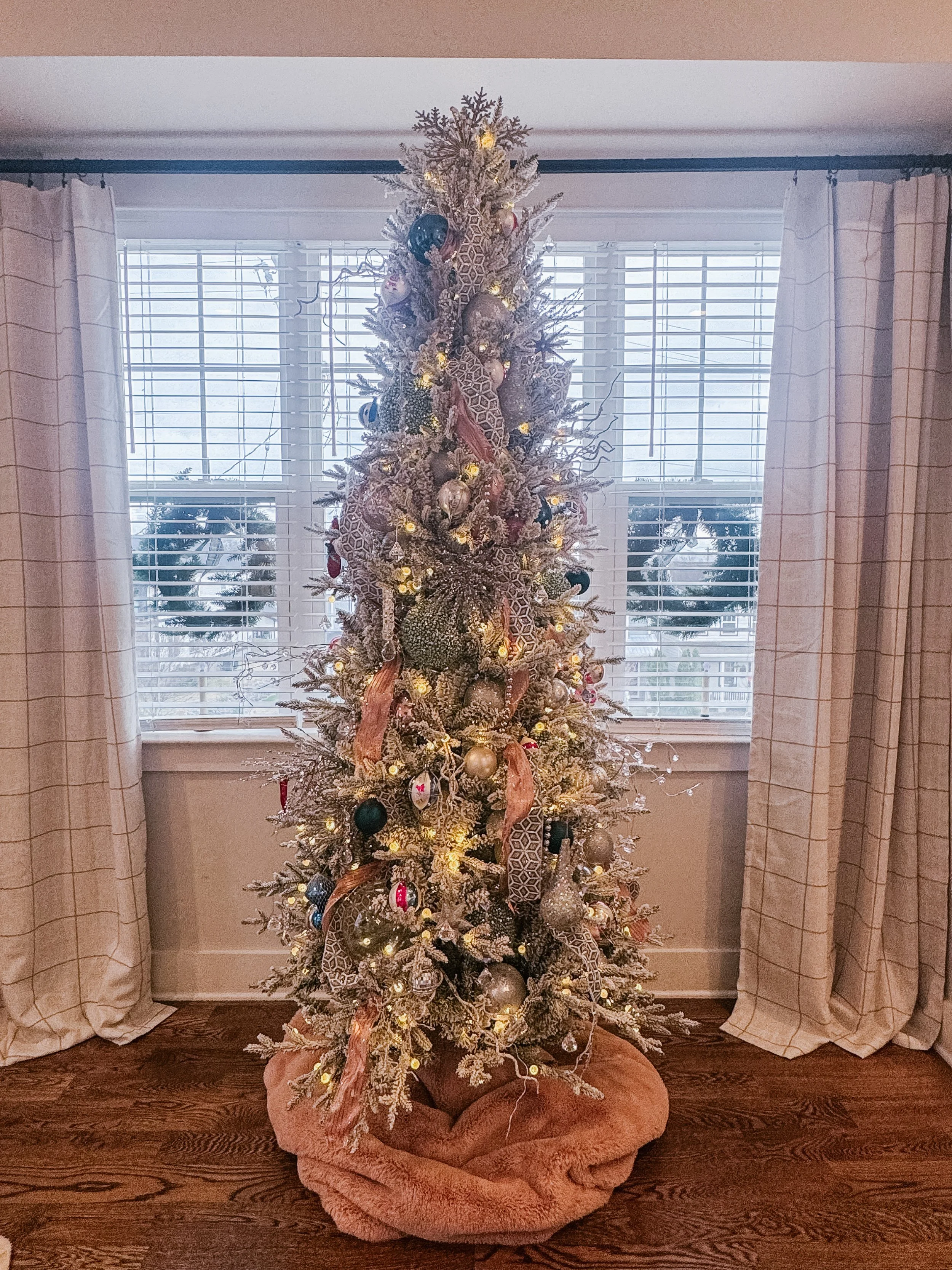 Photo Dec 31 2024, 3 01 41 PM.jpg