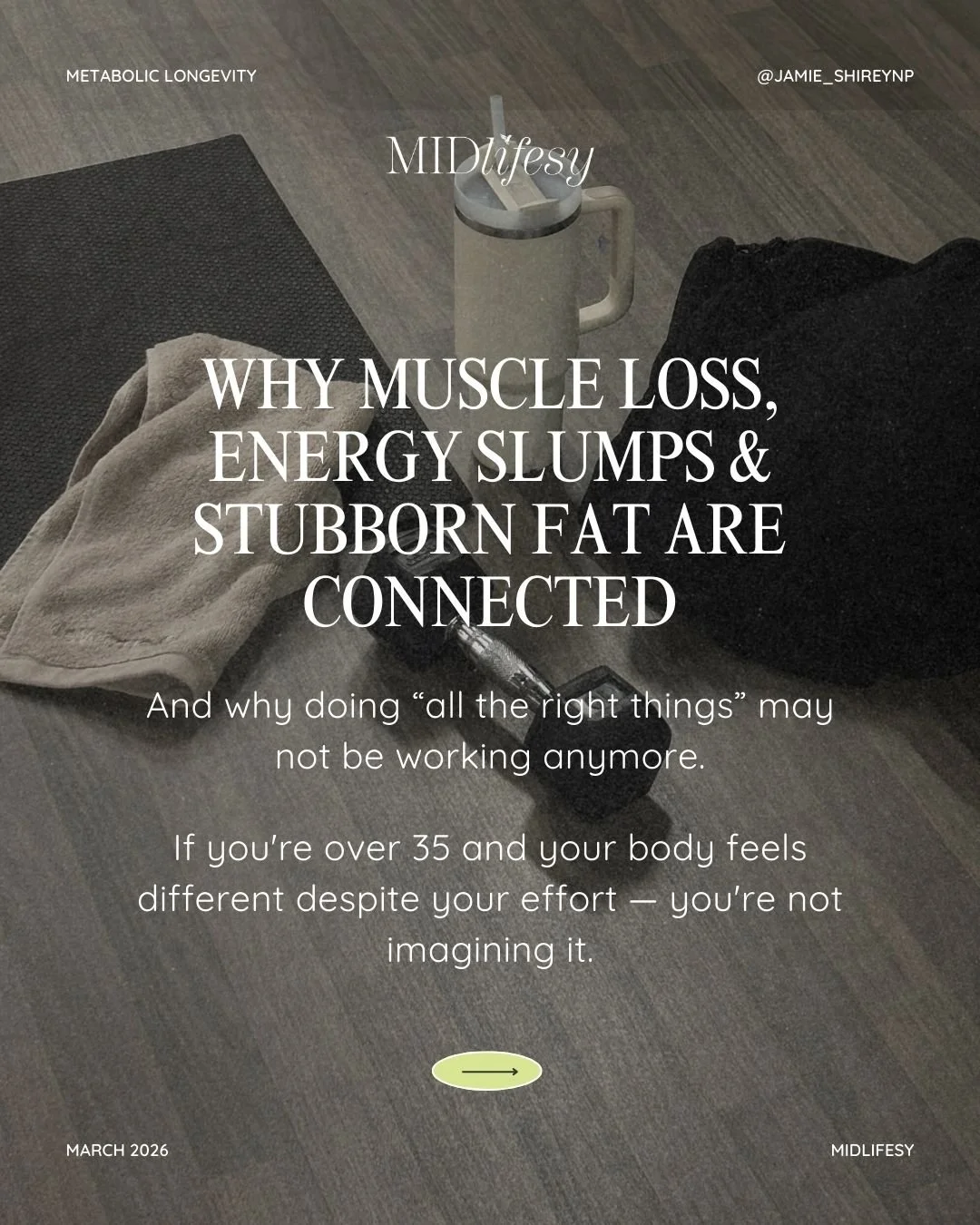 You probably don&rsquo;t need a new macro plan.

And you probably don&rsquo;t need a different workout split either.

What you need is to understand why your body isn&rsquo;t responding to the plan you&rsquo;re already following.

For many high-funct