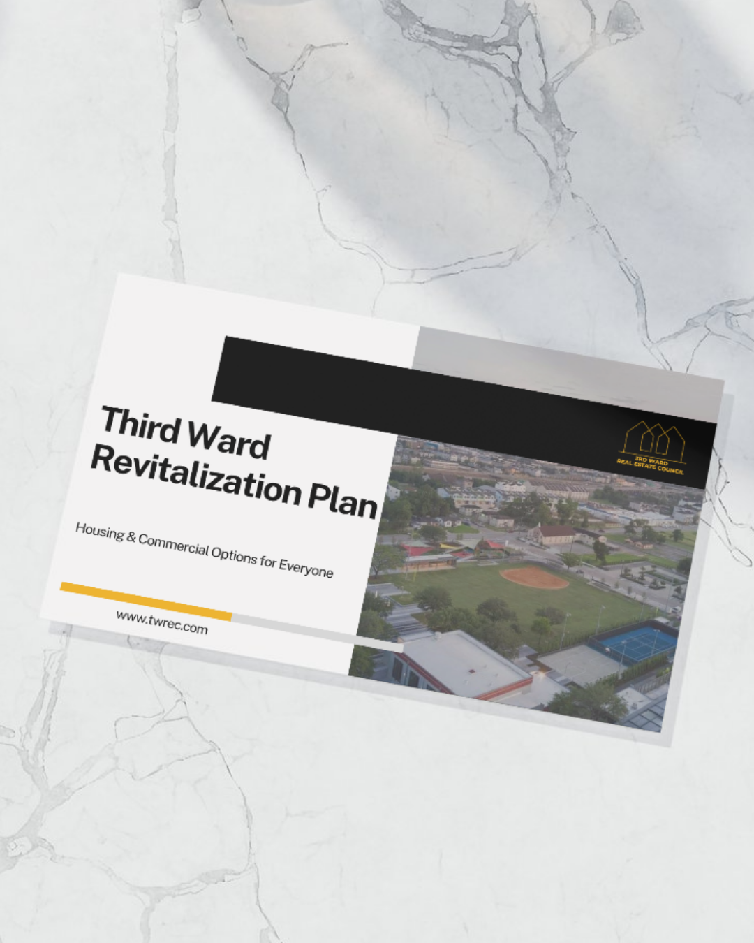 Revitalization Strategy