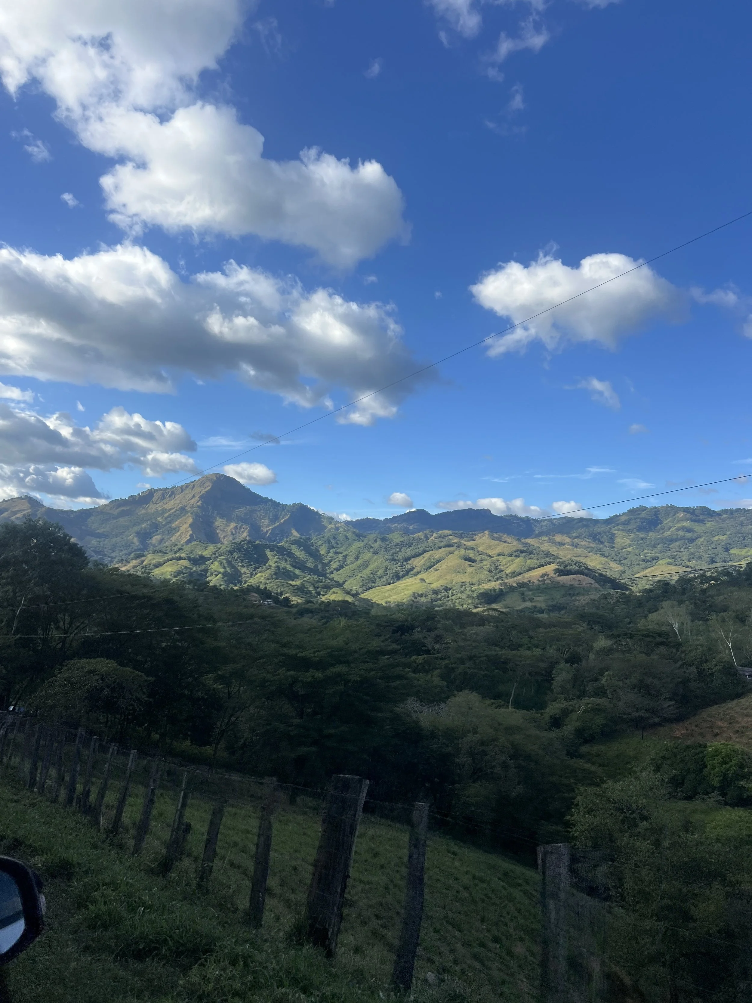 La Purísma
