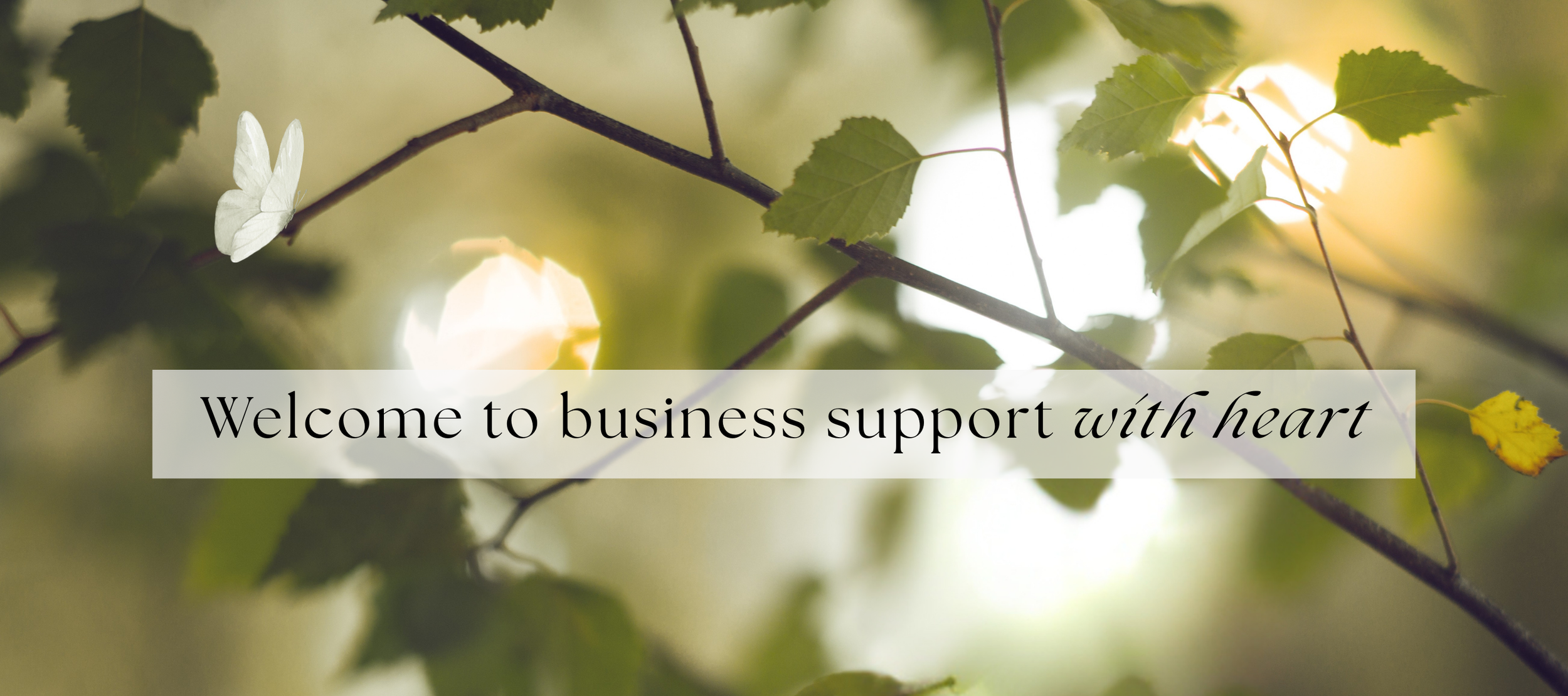 Business support. Heart-led entrepreneur.
