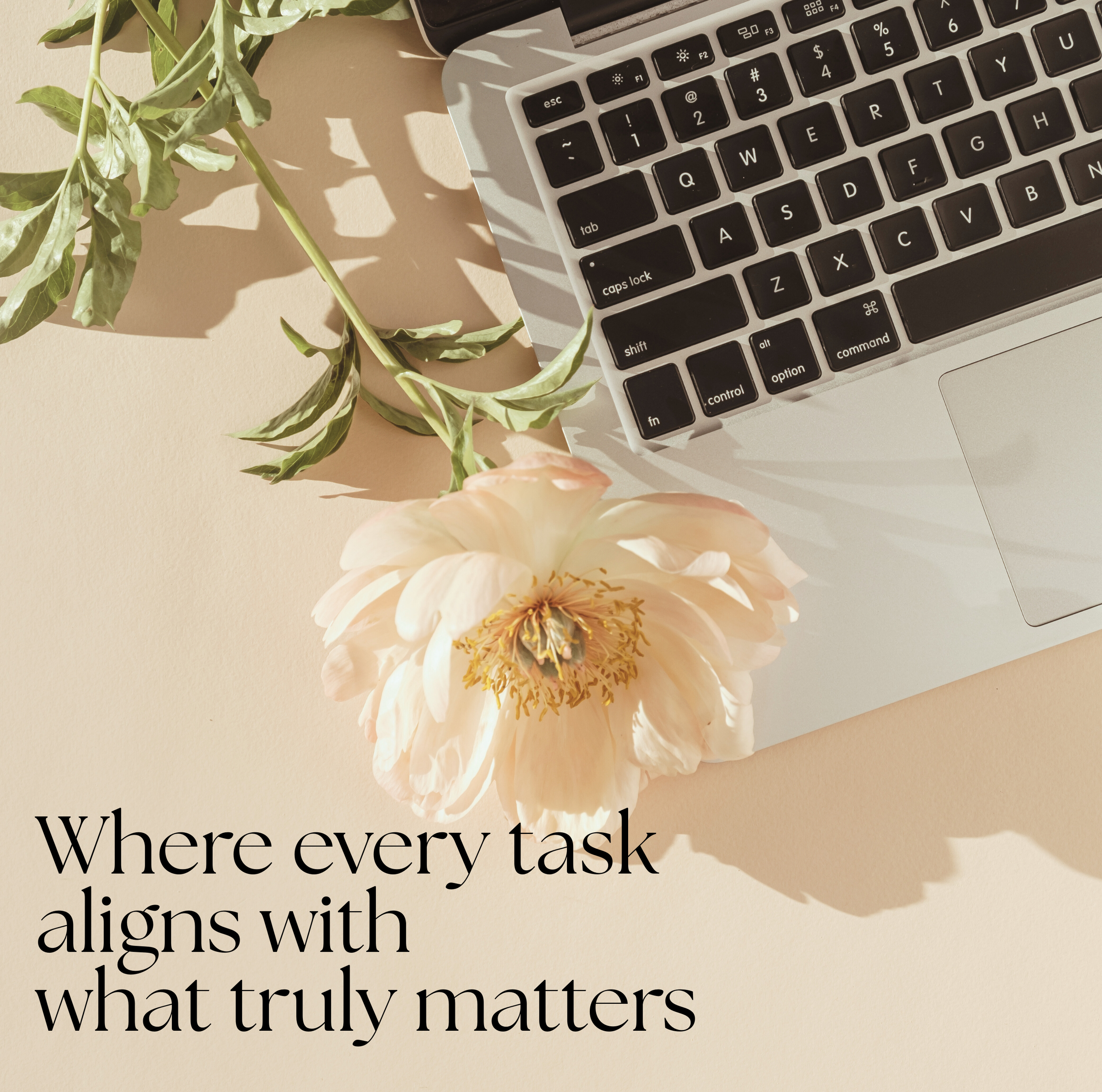 Task management. To do list specialist. Organisation and management. Work flow, structure and systems.