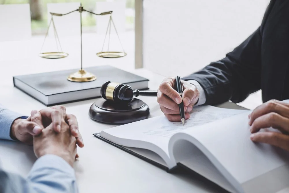 Seeking Justice: Exploring the World of Litigation Cases