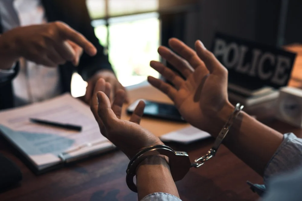 What Every Licensed Professional Needs to Know about Criminal Charges?