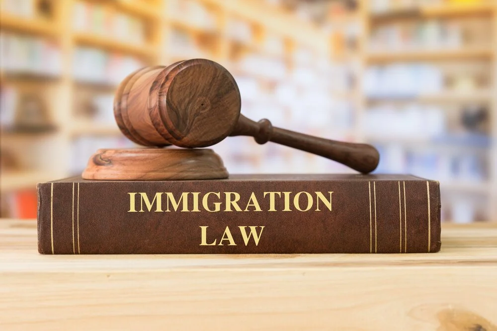 Immigration Questions You Need to Ask Before Visa Application