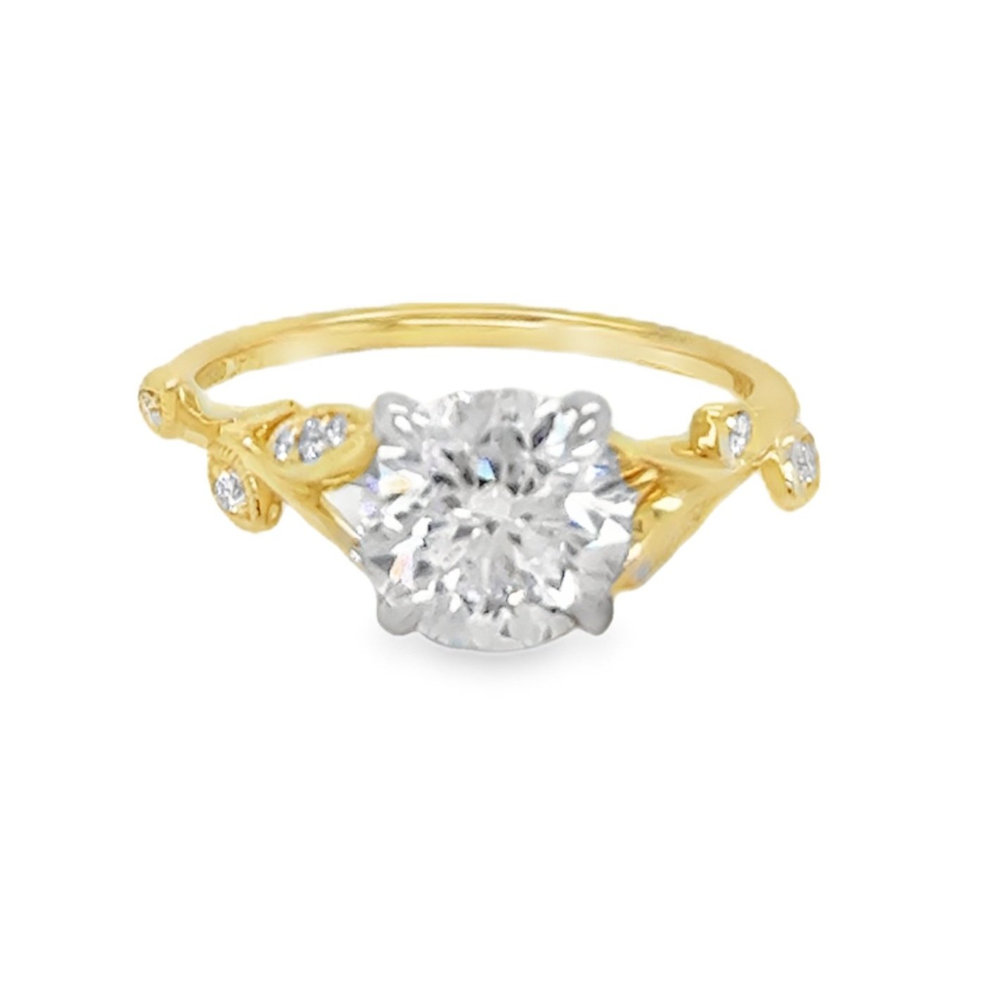 NAL-N-CUSTOM-SM14K+%28Polly%29.jpg