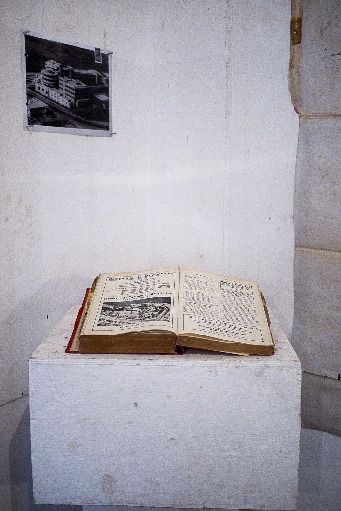p1130821.JPG