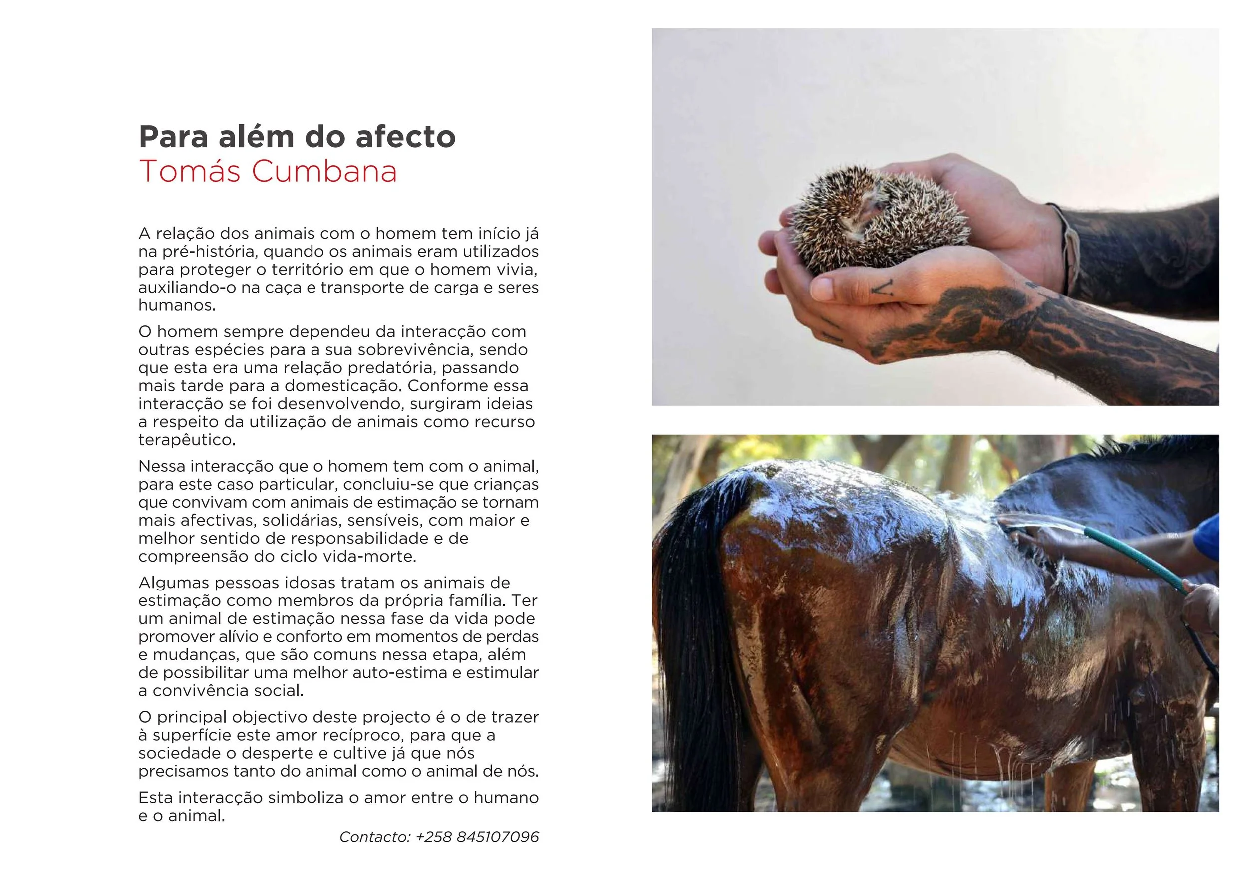 CATALOGO_EXPOSICION_O_QUE_E_PRECISO_E_AMOR-imágenes-11.jpg