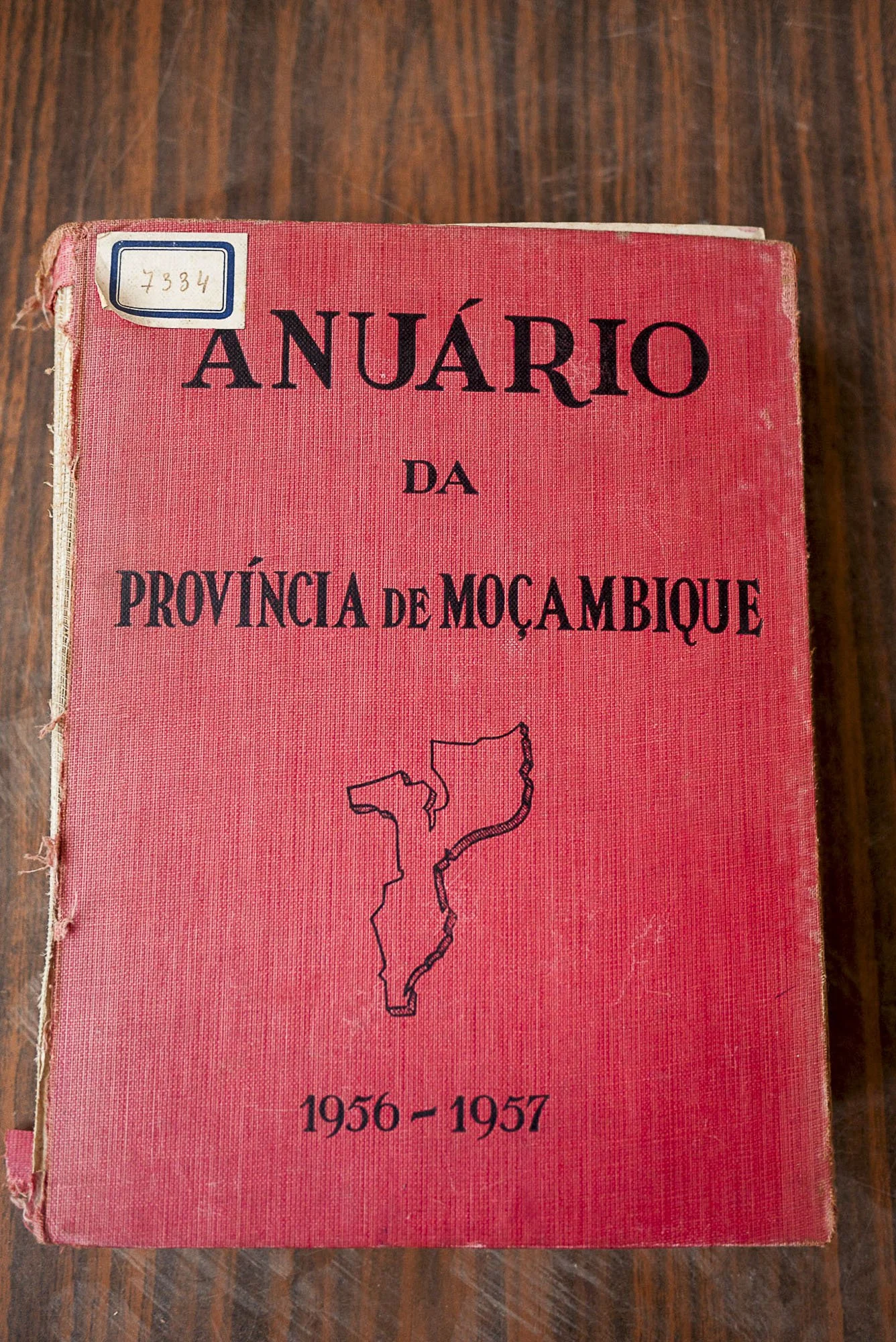 p1130810.JPG