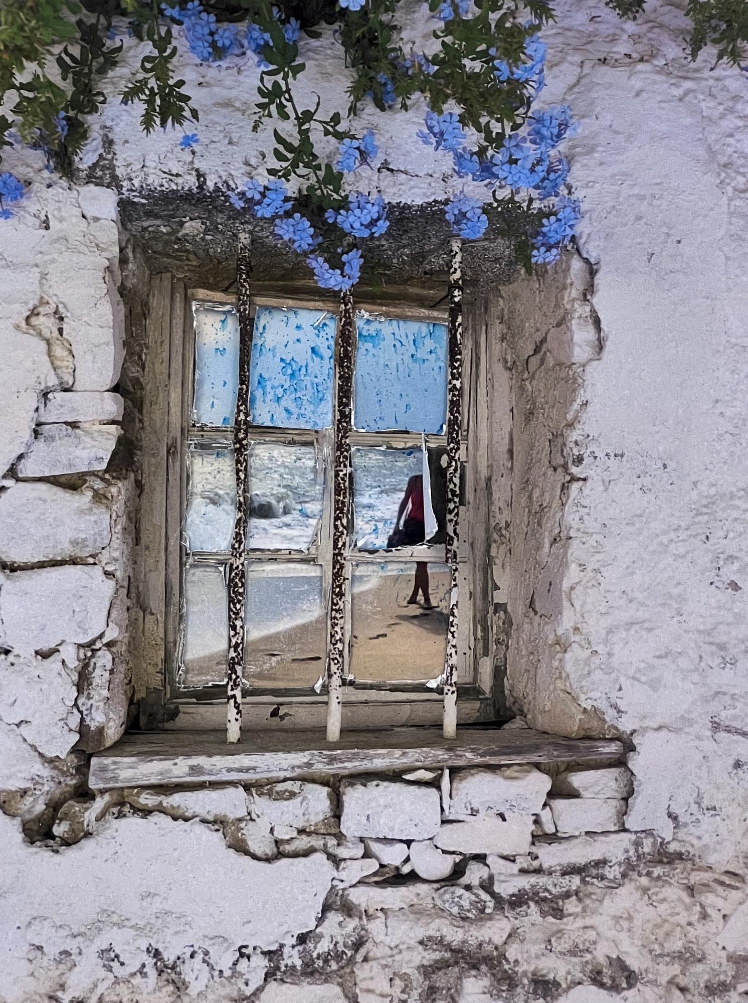 IMG_3763 copia_30x40.JPG