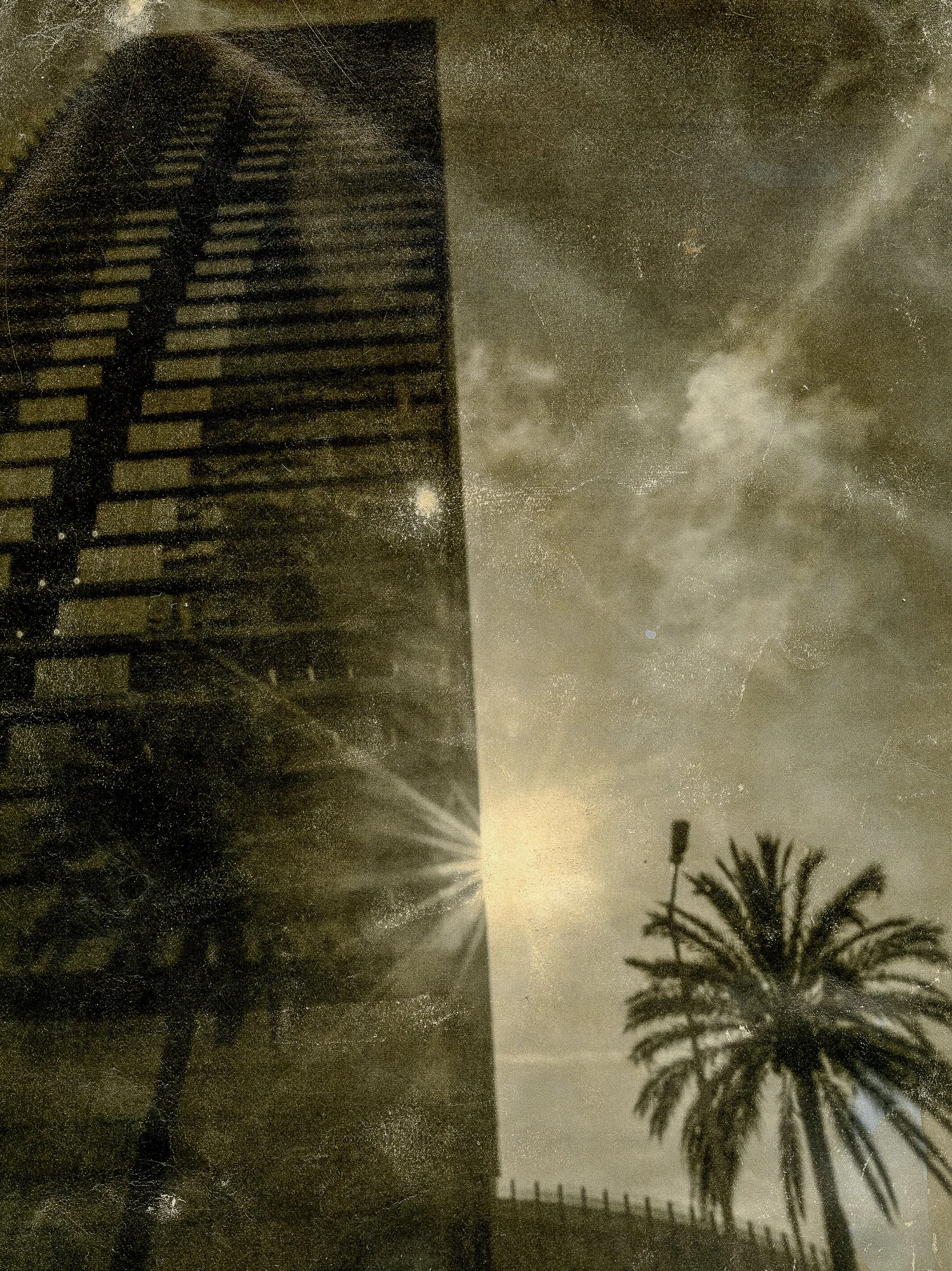 Jordi Trallero_Palmera café30x40 copia.JPG