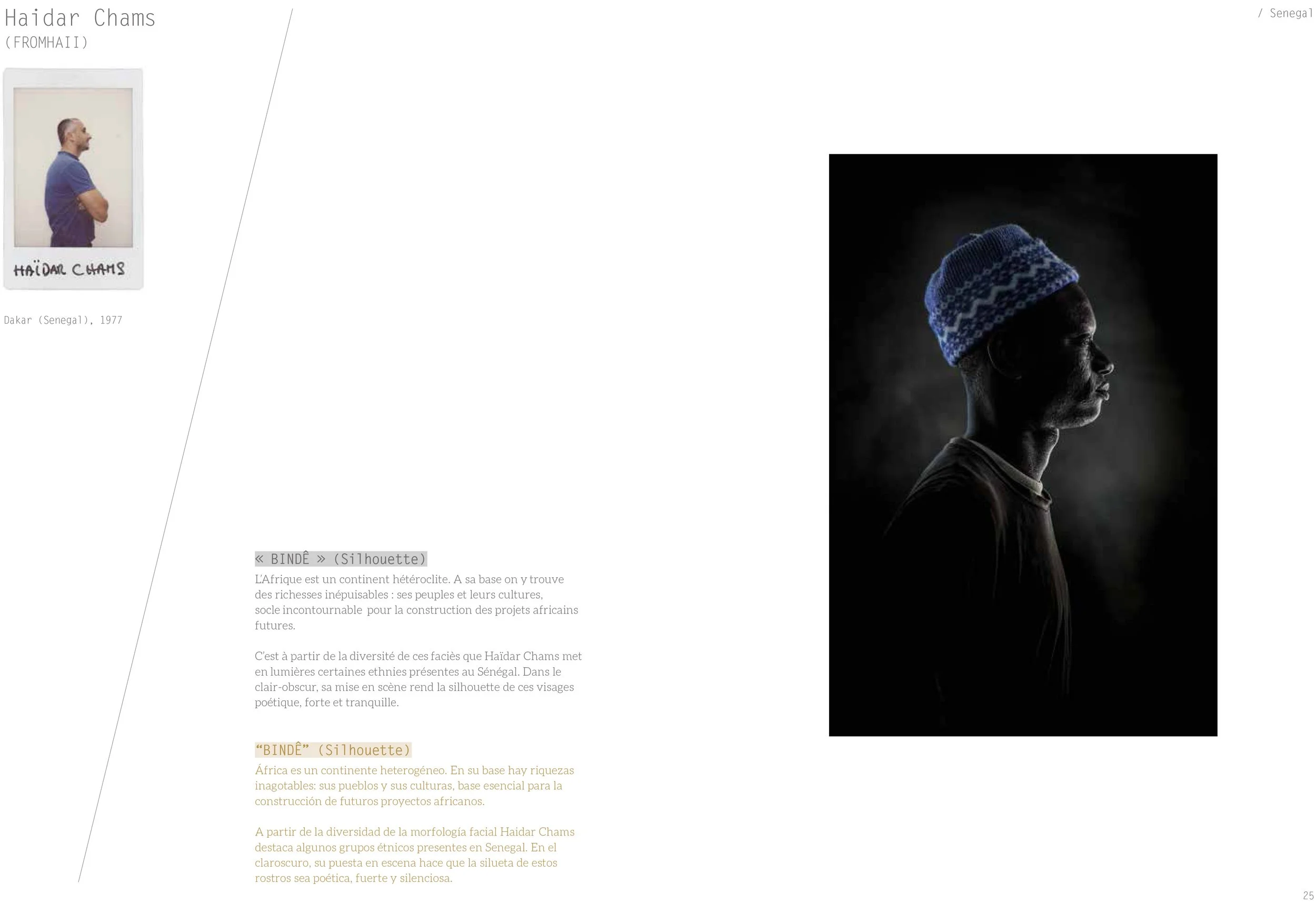 Afrotopia_completo_BR (1)-13 copy.jpg