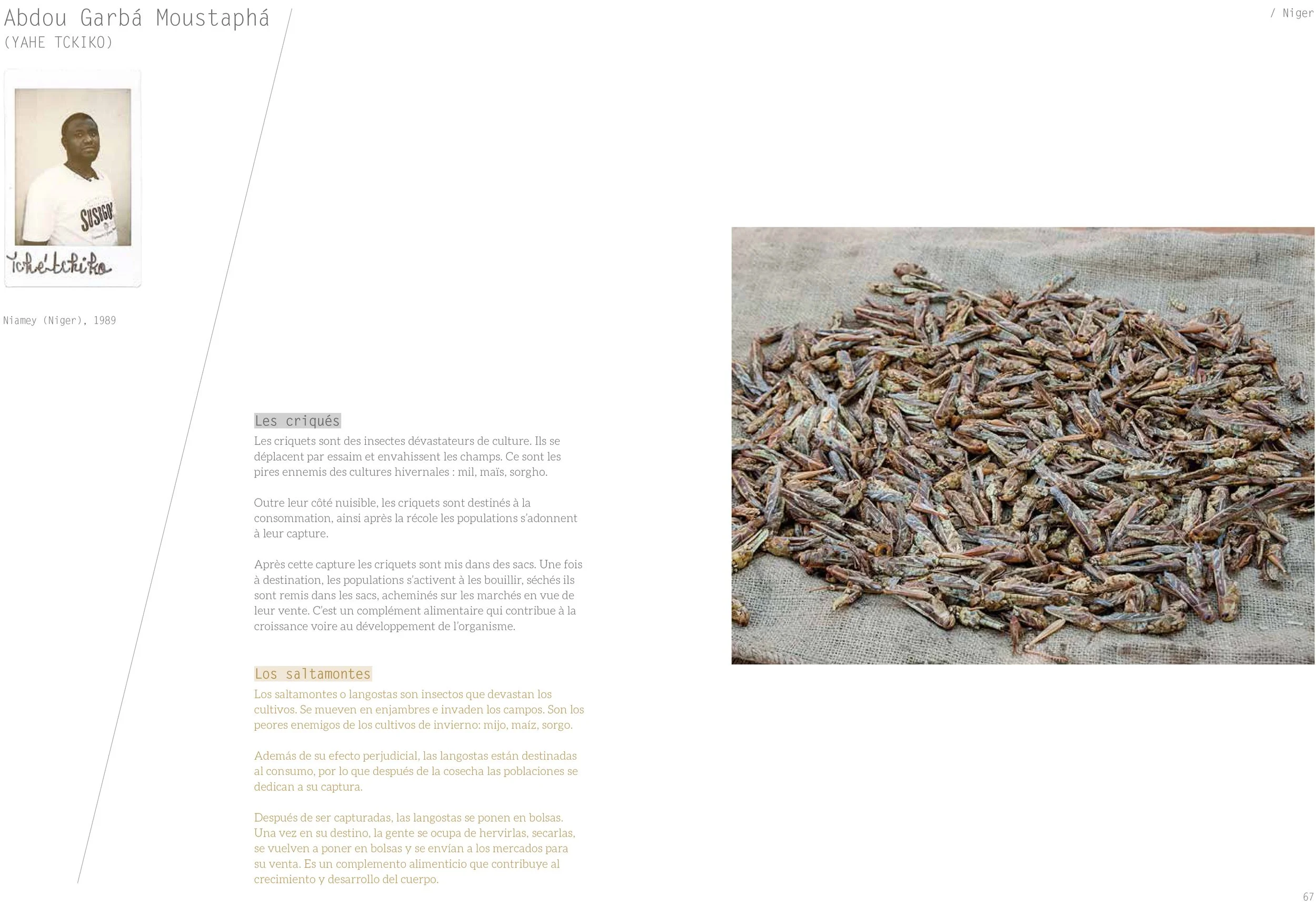 Afrotopia_completo_BR (1)-34 copy.jpg