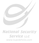 National Security Service company logo on a white background.
