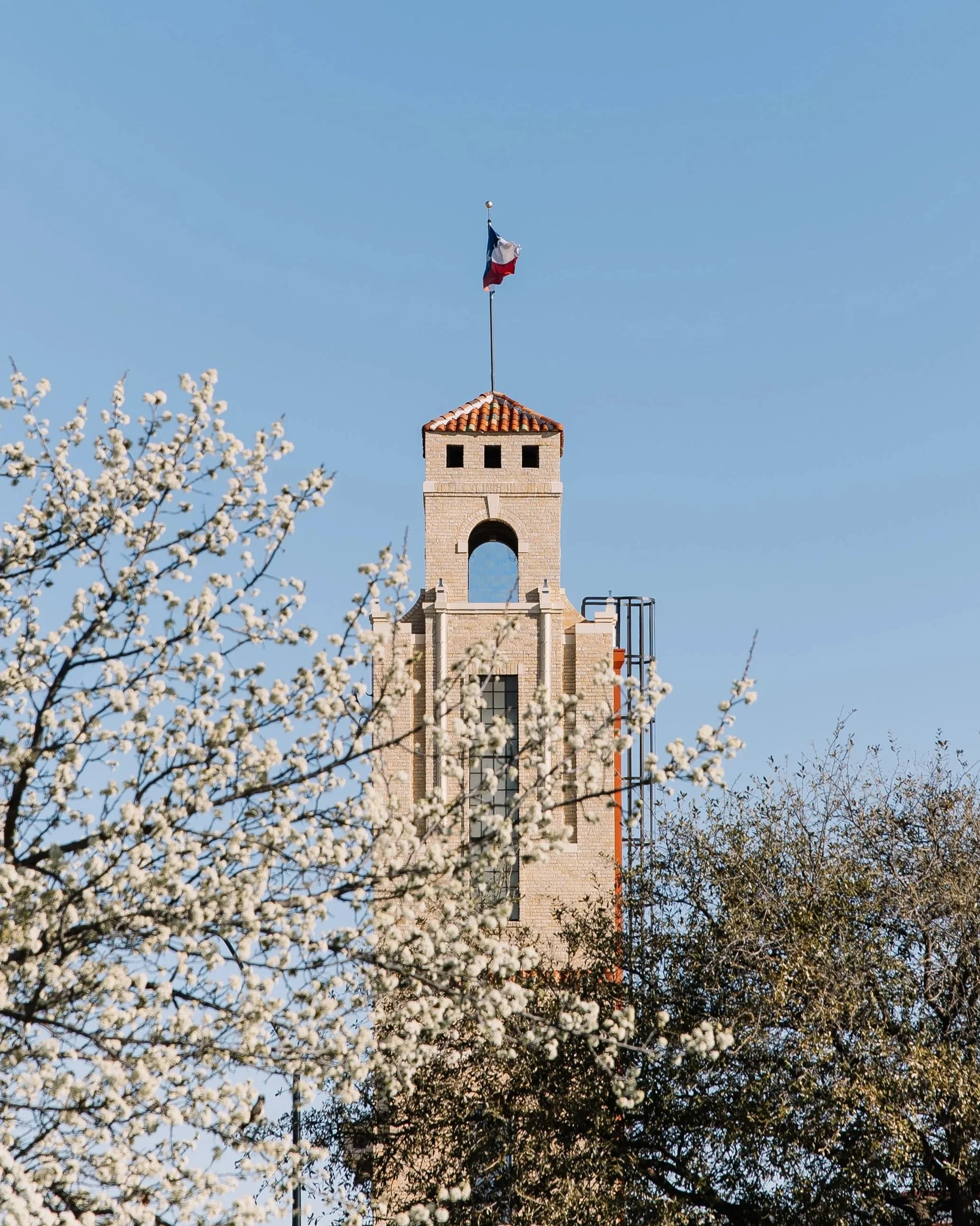 Fort Worth Public Market