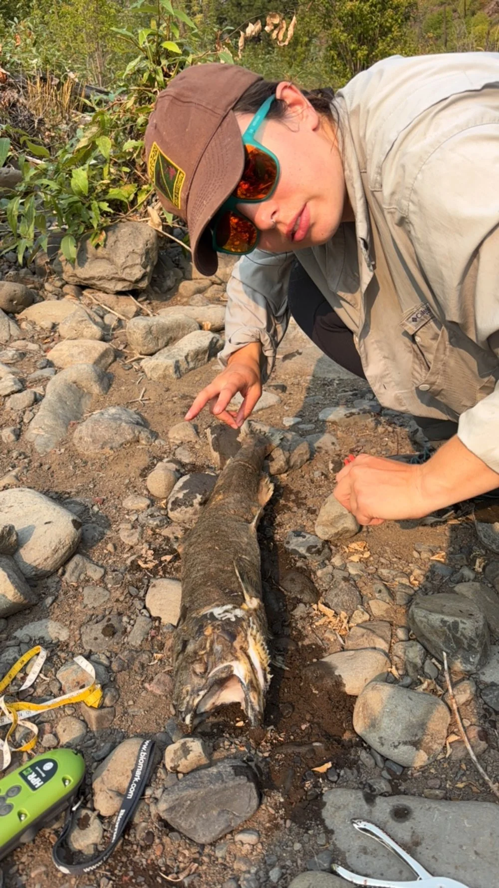 Emily Treadway hard at work on the Wenaha River photo credits: Wenaha River Dawgs