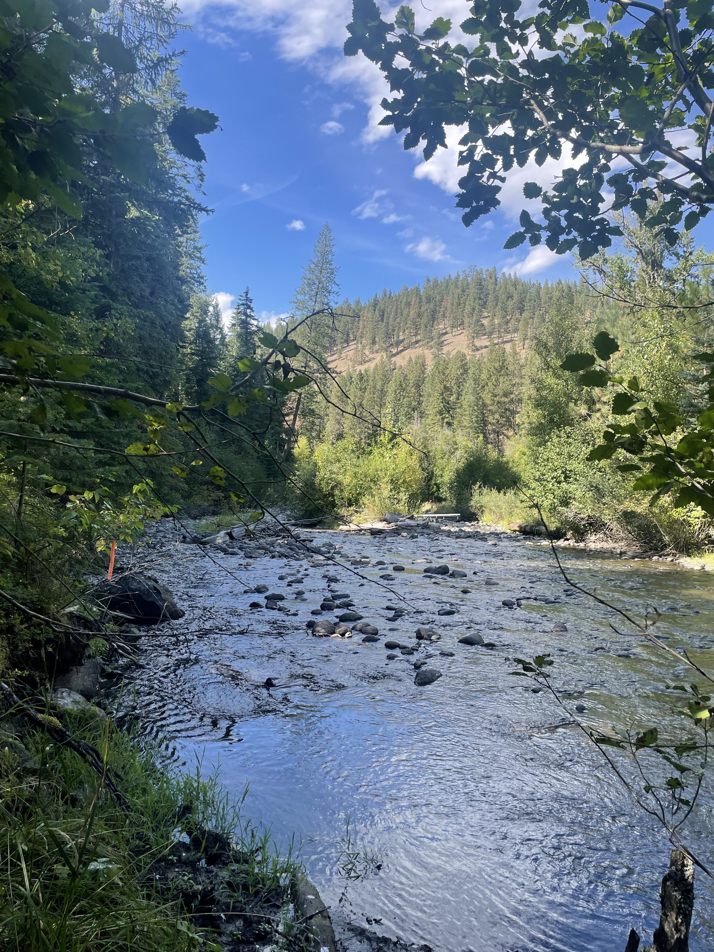 Streamside at Catherine Creek