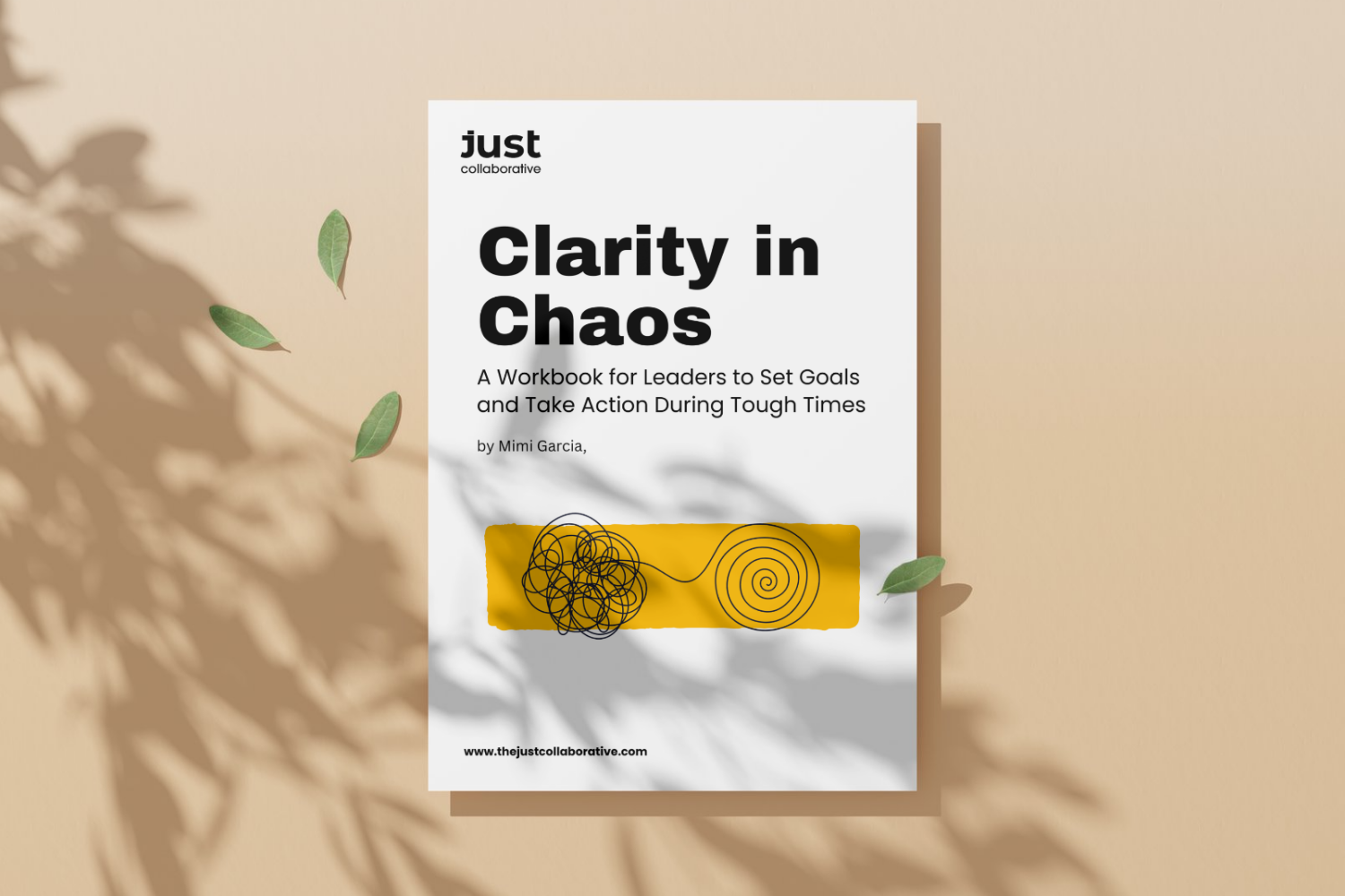 Clarity in Chaos Workbook