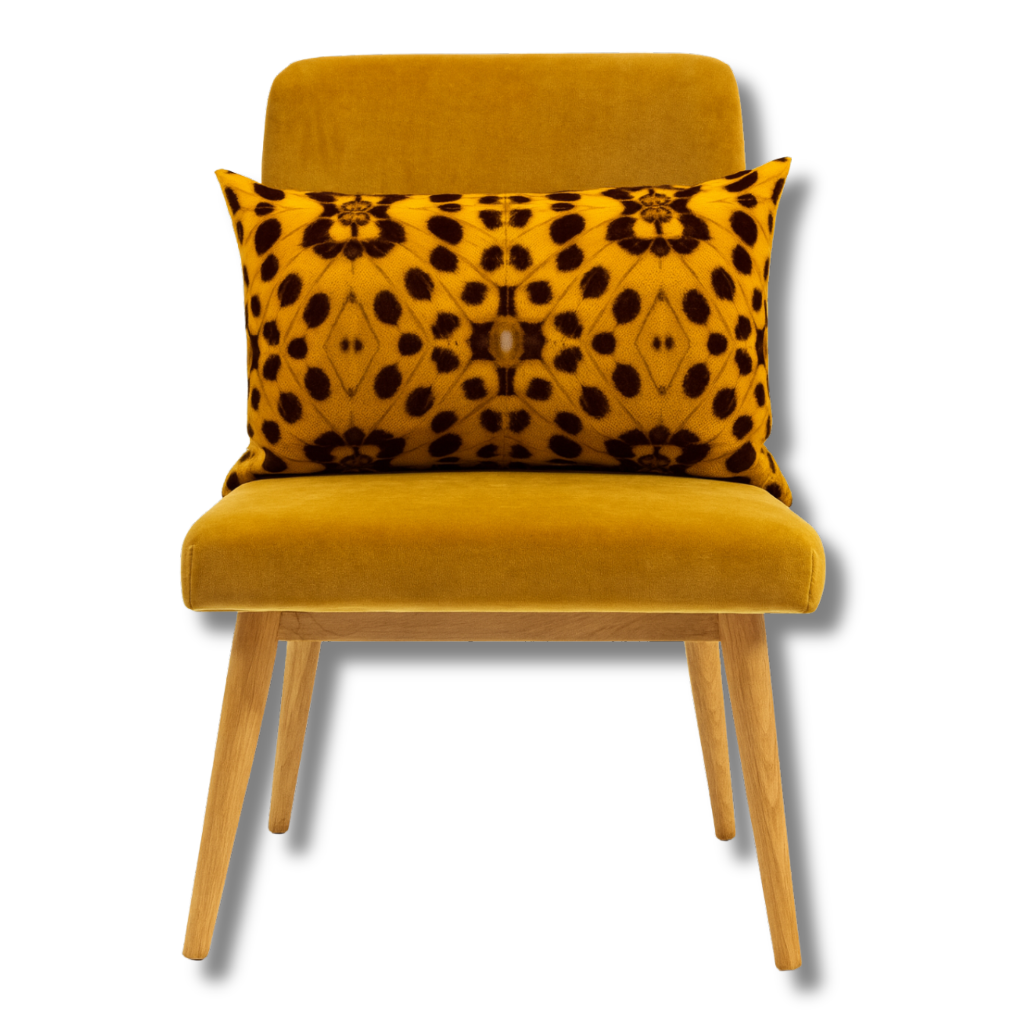 fritillaire lumbar.png