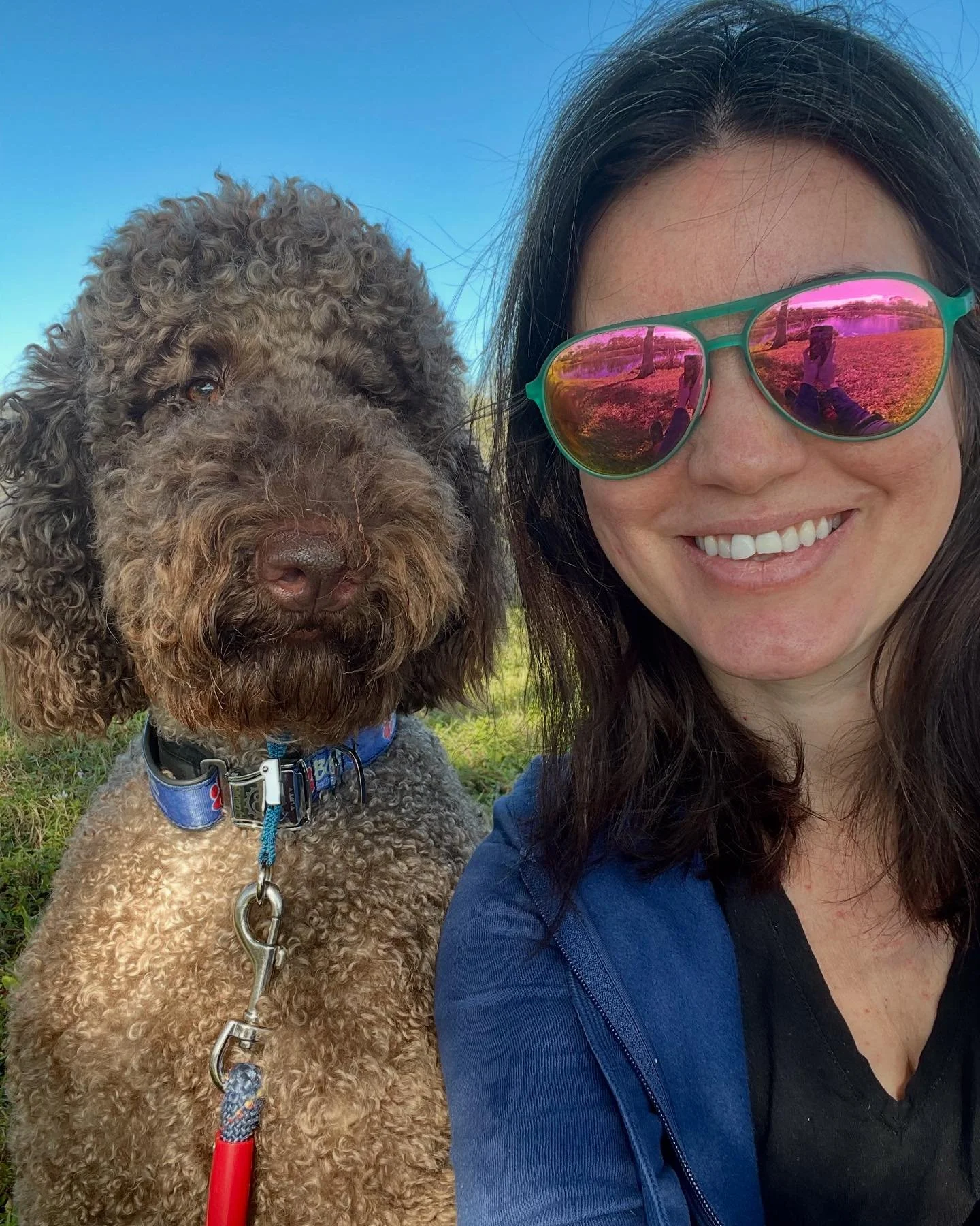 My fluffy boy! We had a crispy Florida fall morning so Lando and I explored in the park and found a good spot by the little pond. Lots of little birds building nests. It was so fun to sit there and watch nature. A few turtles popped up here and there