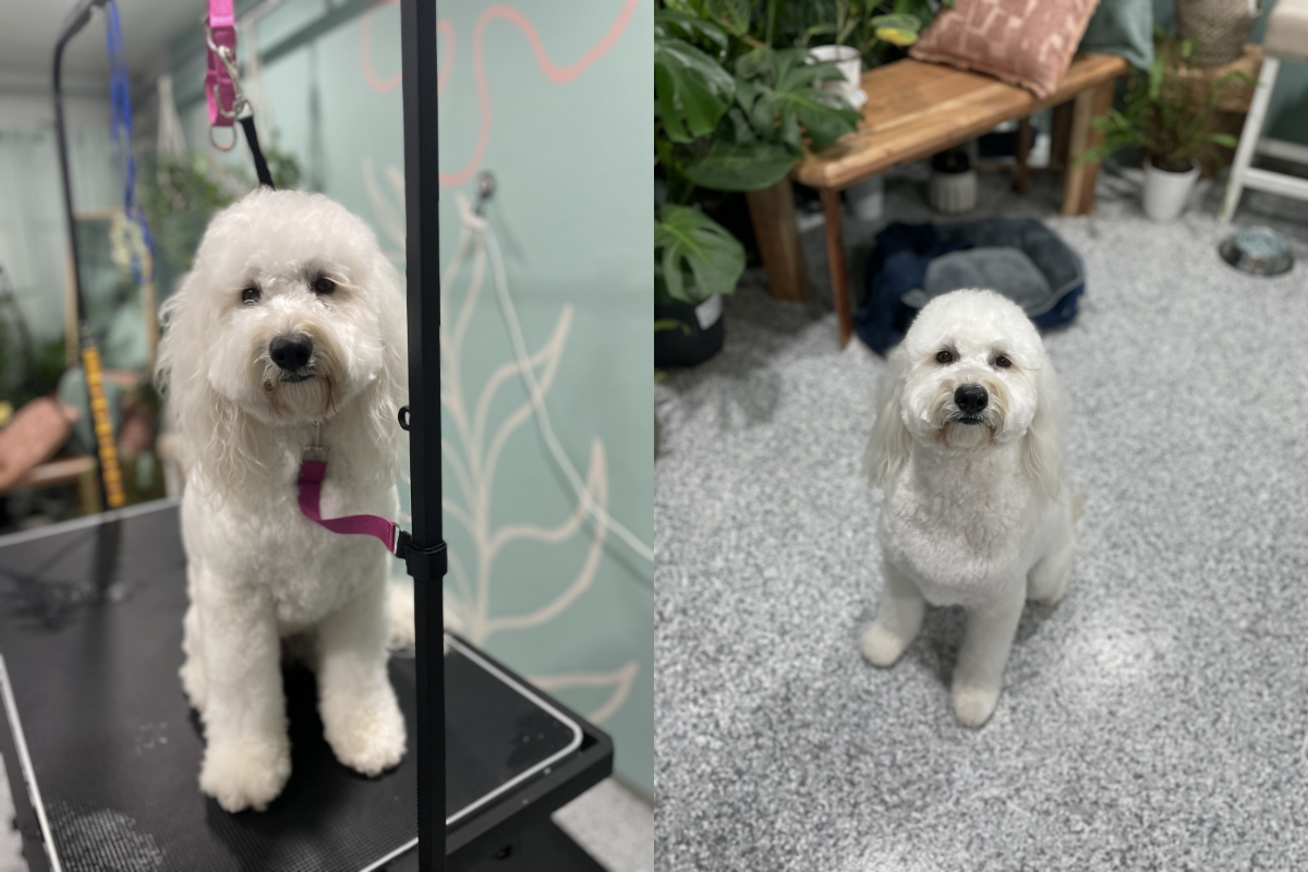 before&after3.png