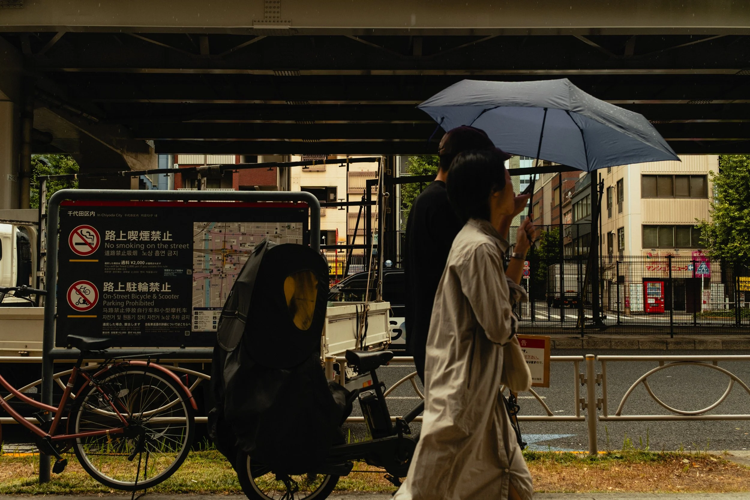 Japan- Fuji_-58.jpg