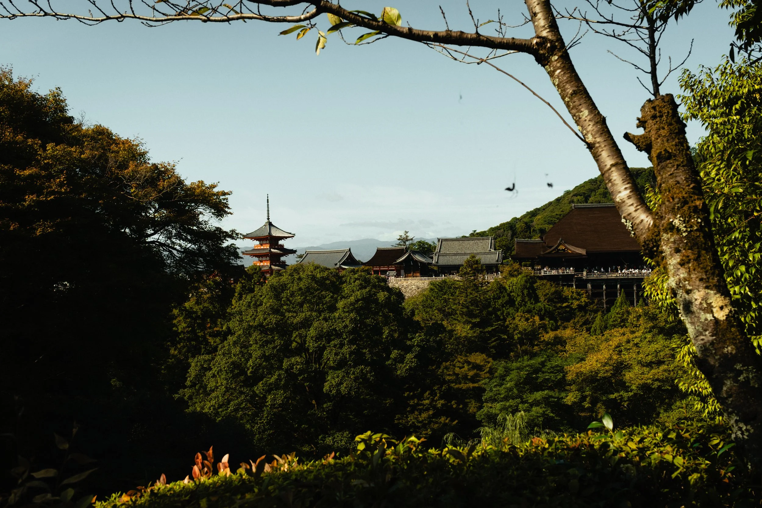 Japan- Fuji_-177.jpg