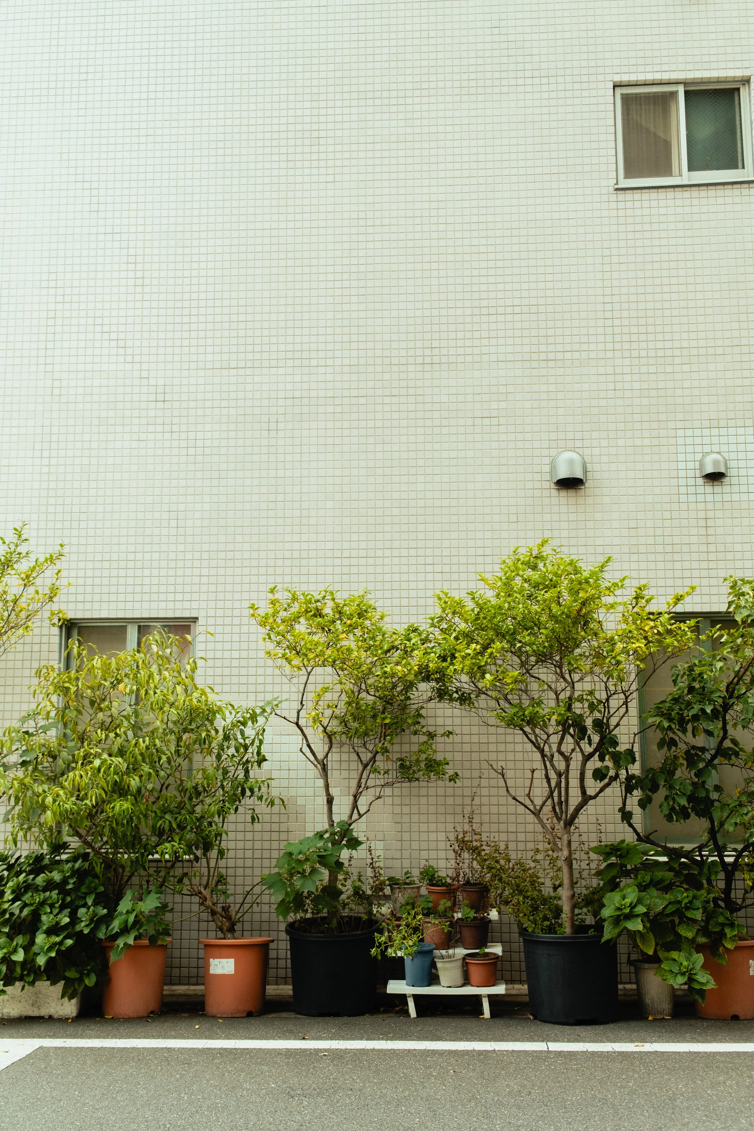 Japan- Fuji_-42.jpg