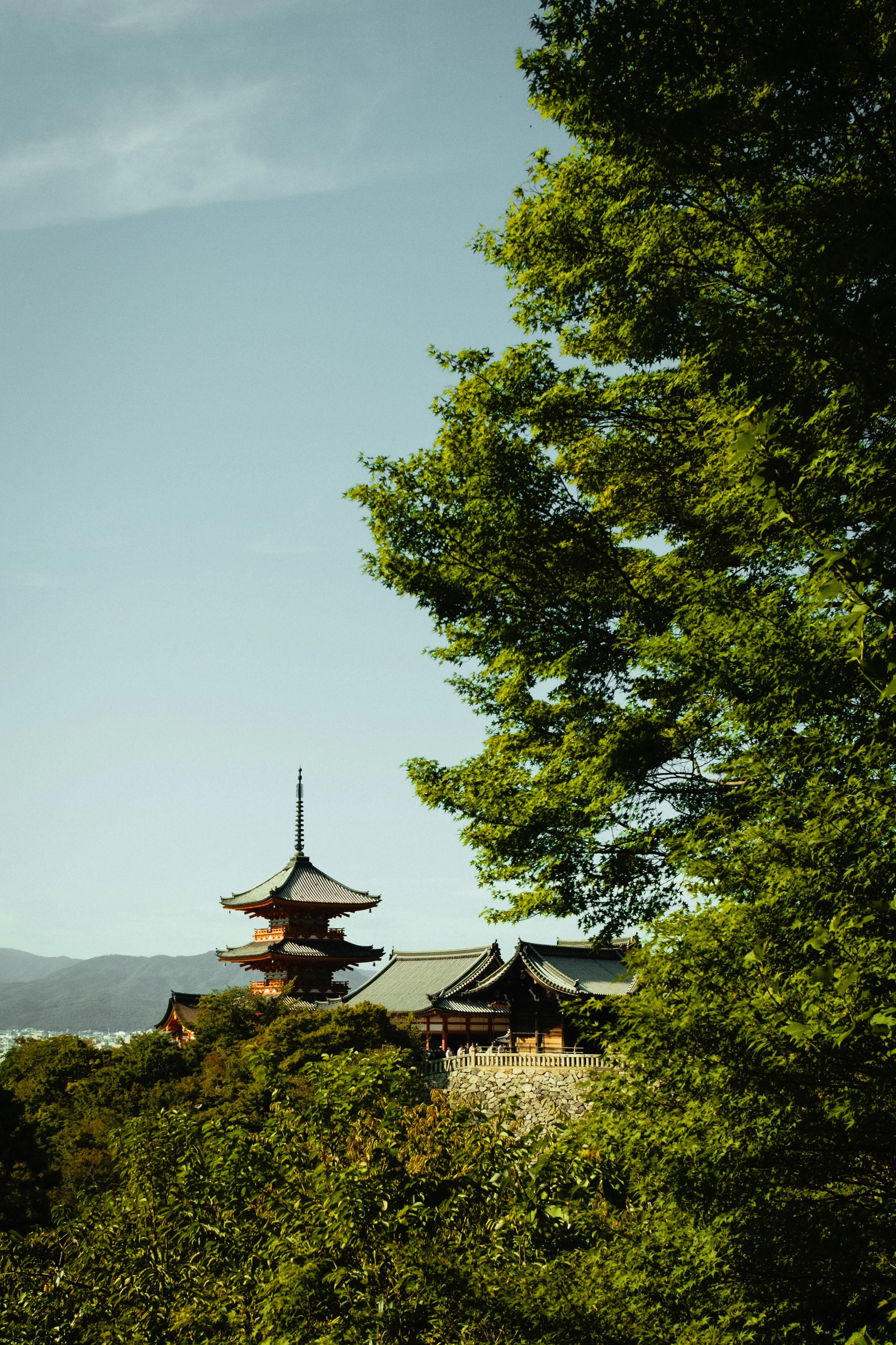 Japan- Fuji_-178.jpg
