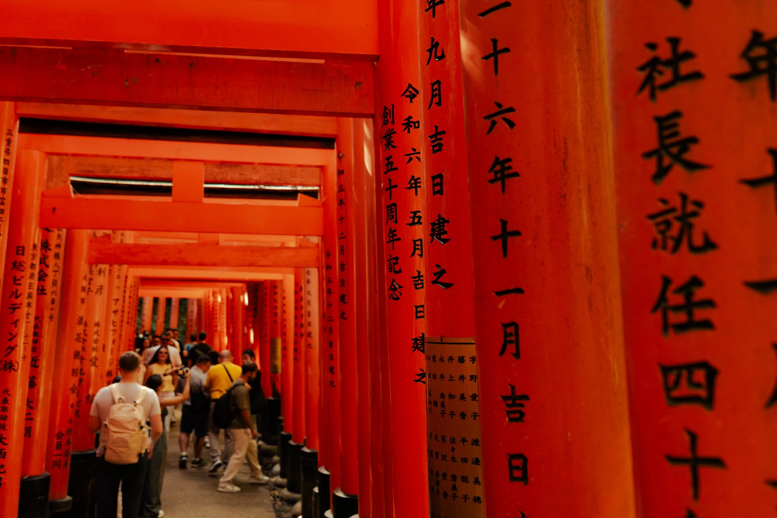 Japan- Fuji_-156.jpg
