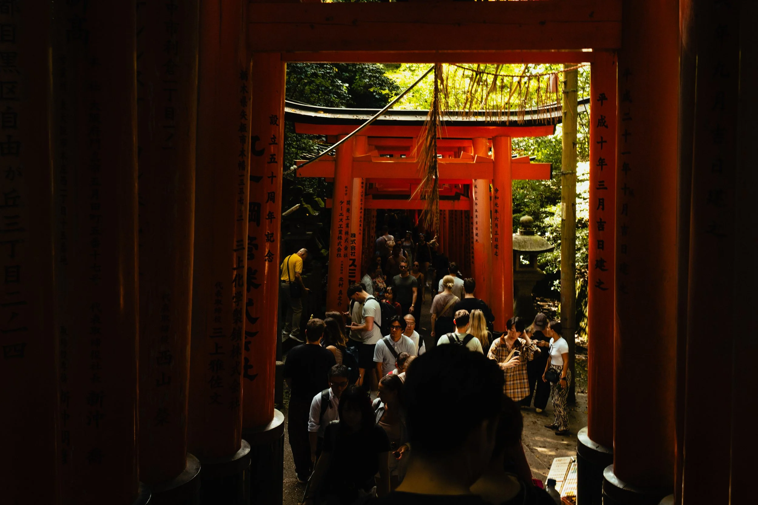 Japan- Fuji_-154.jpg