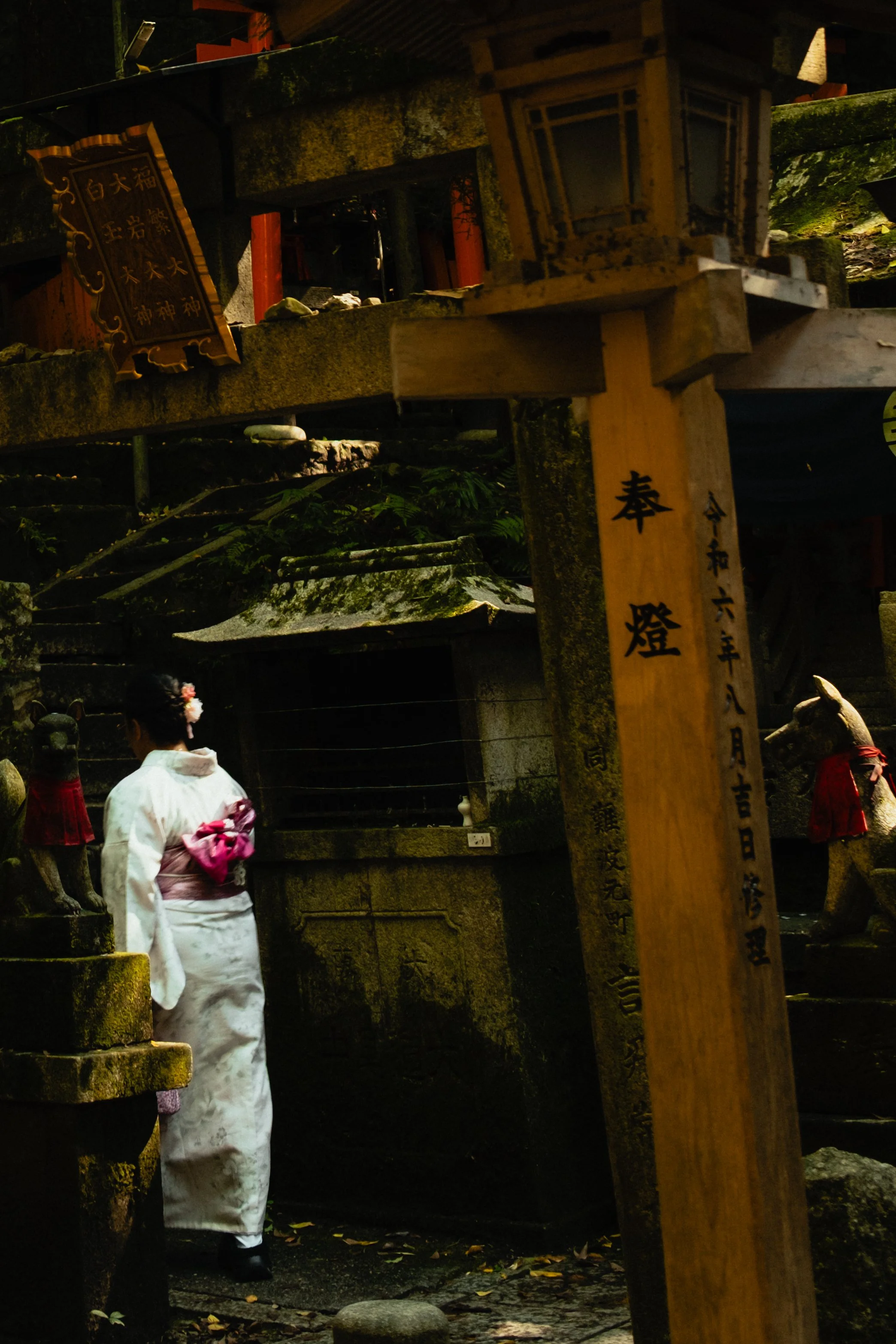 Japan- Fuji_-144.jpg
