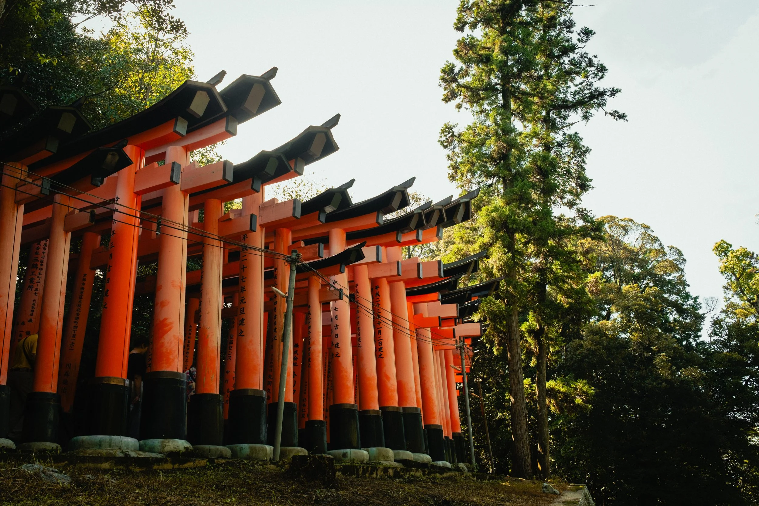Japan- Fuji_-157.jpg