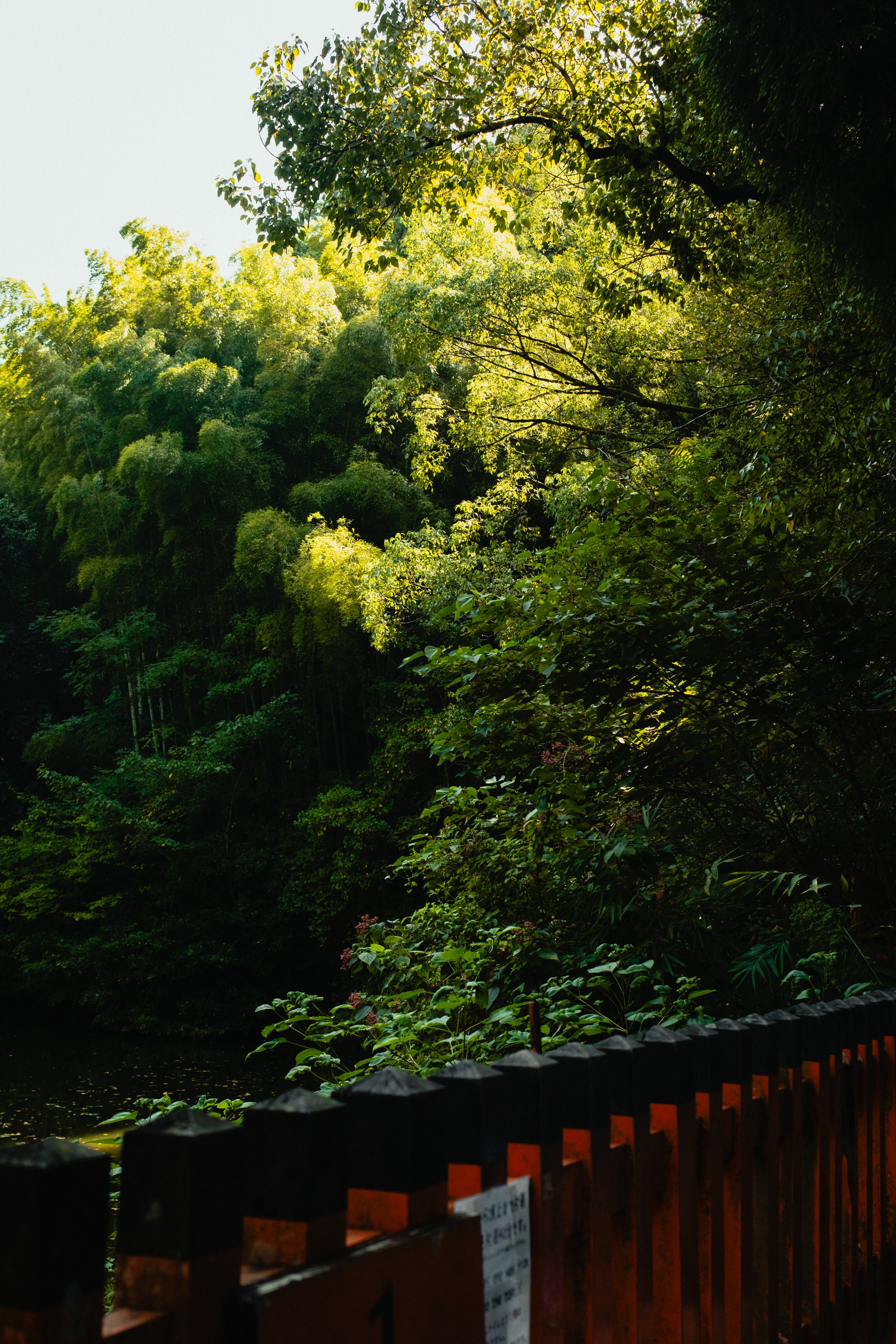 Japan- Fuji_-153.jpg