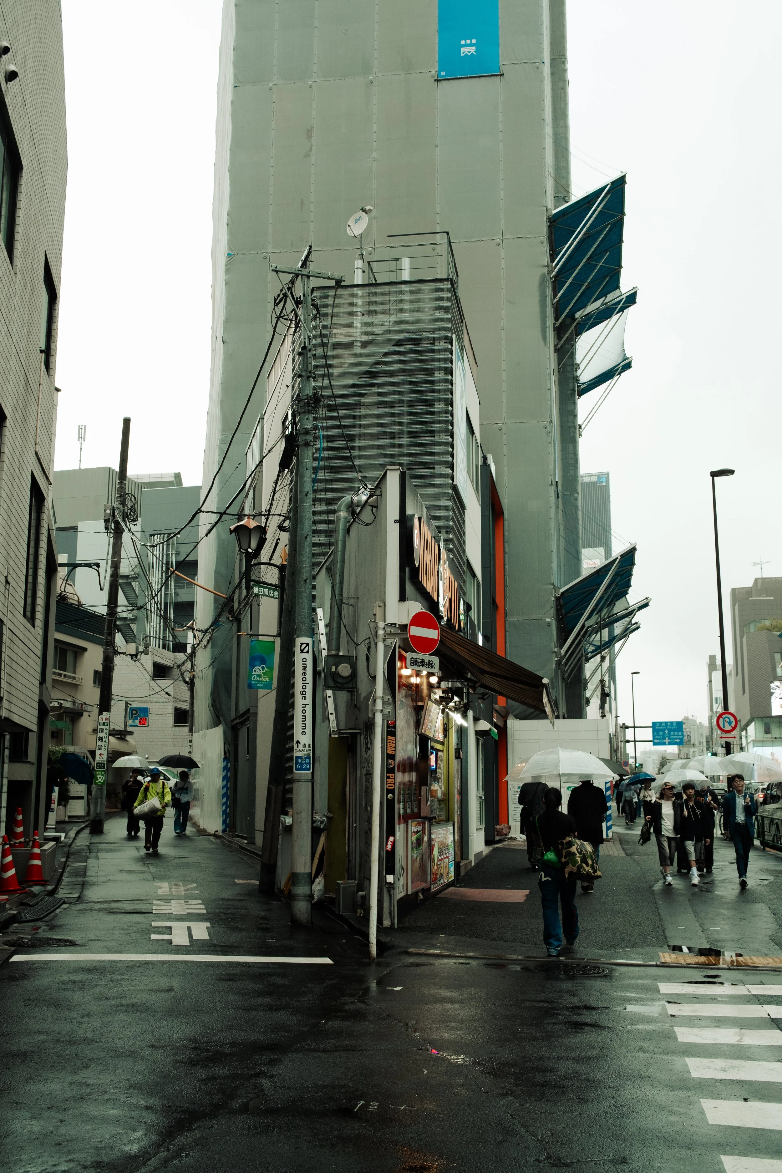Japan- Fuji_-349.jpg