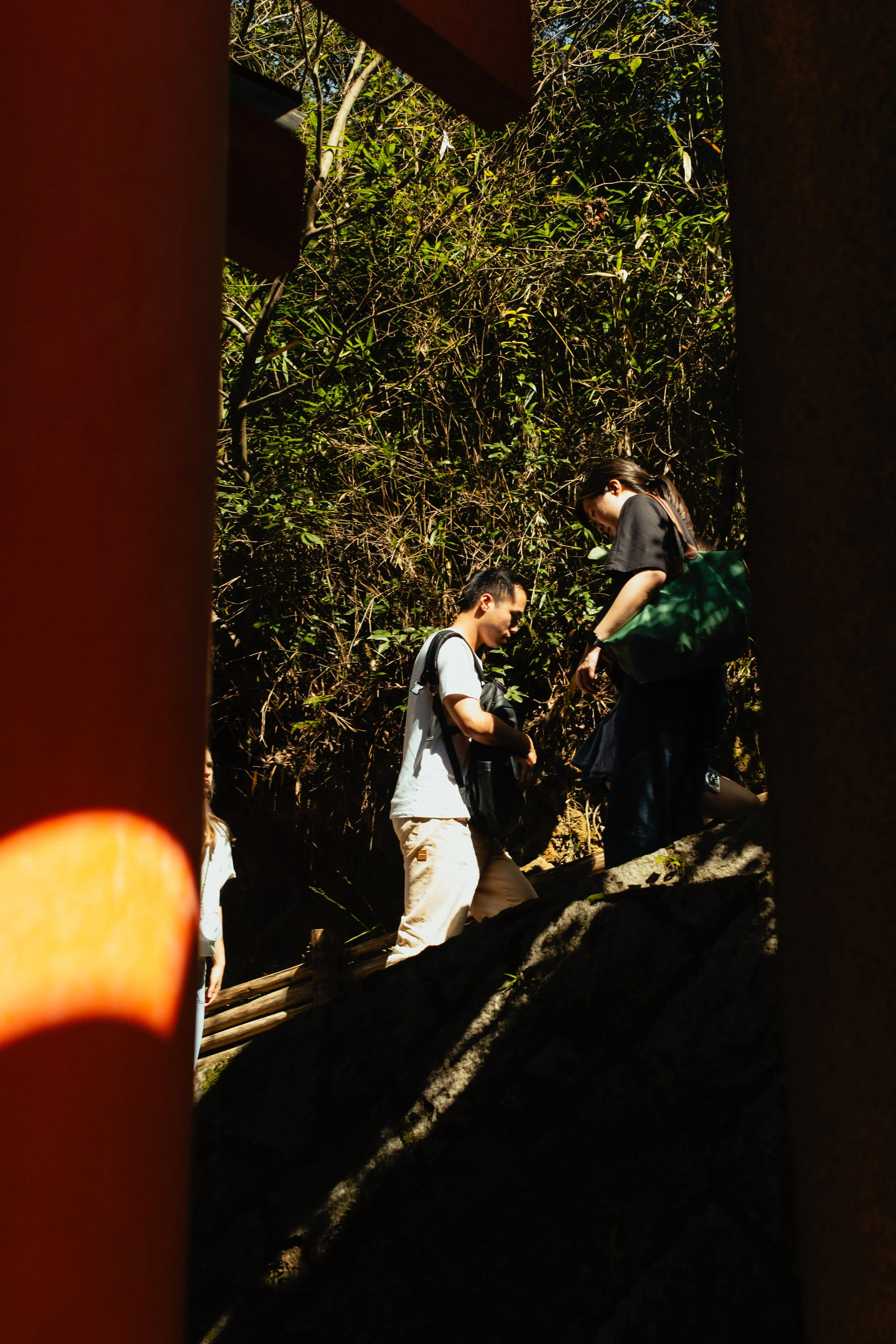 Japan- Fuji_-126.jpg