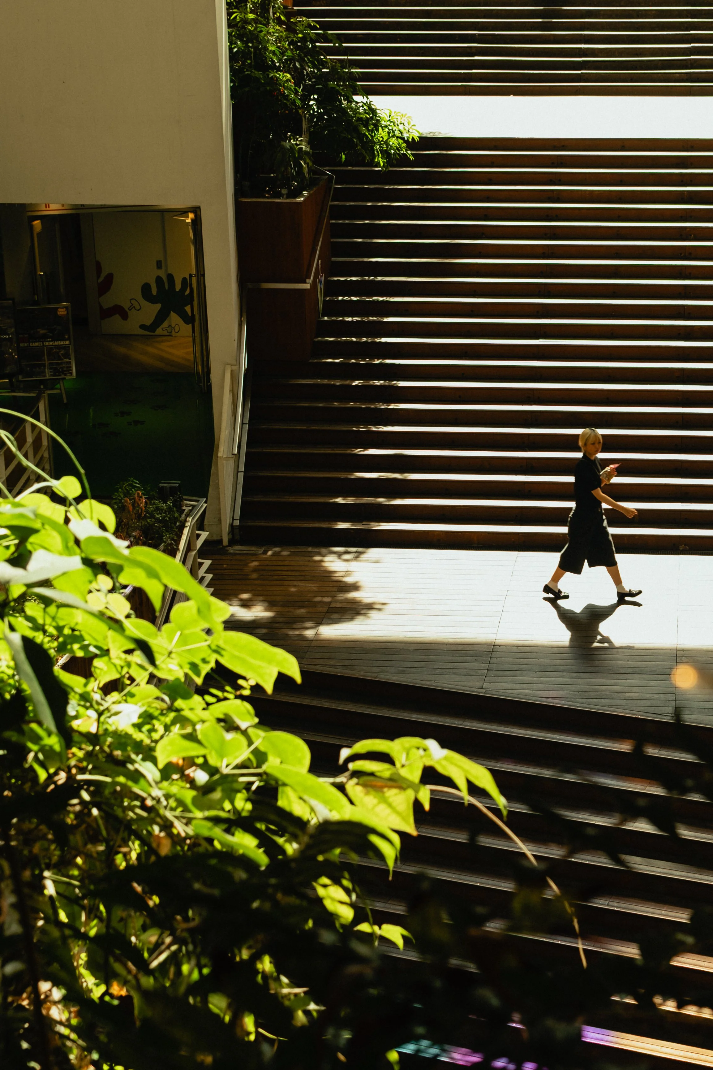 Japan- Fuji_-218.jpg