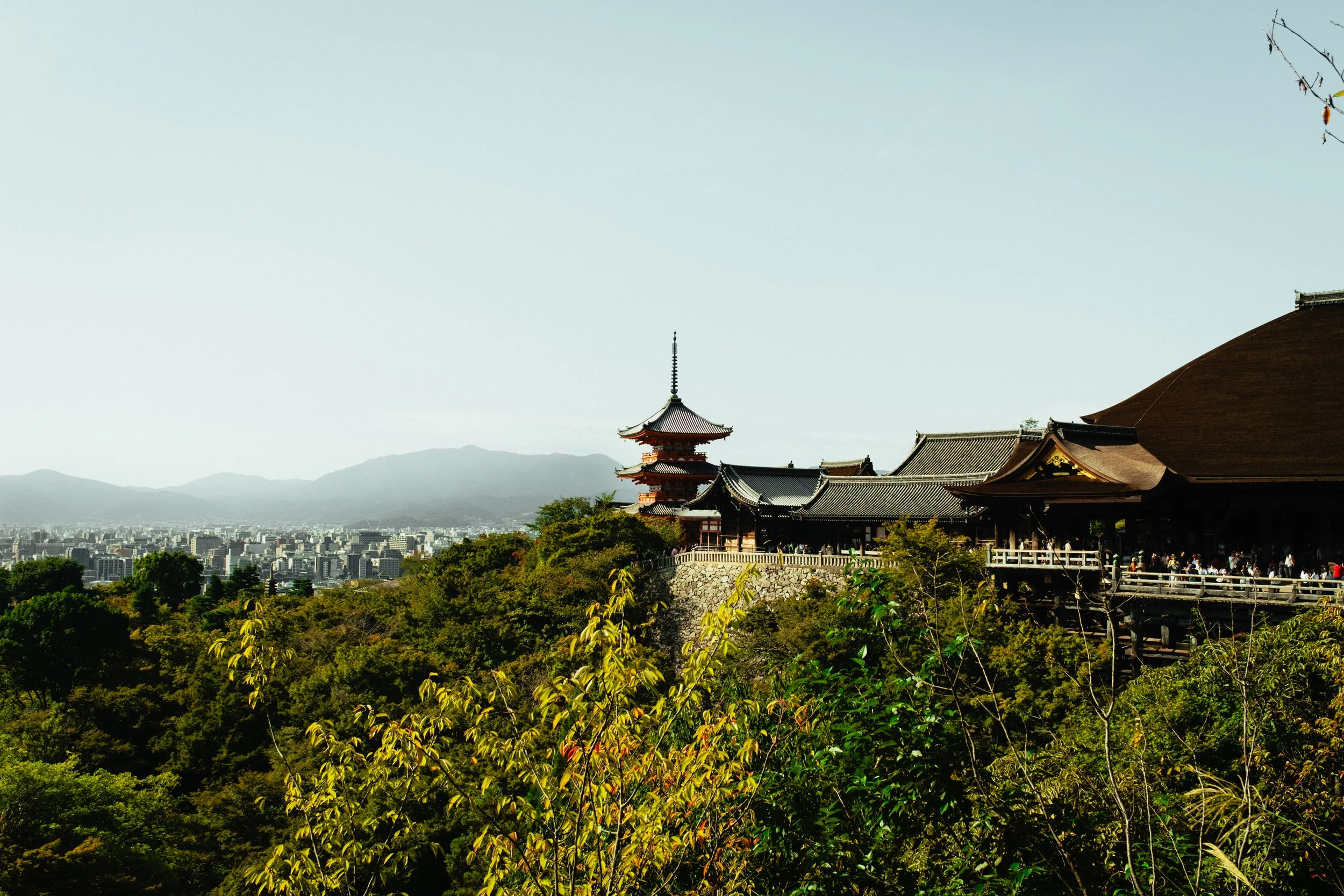 Japan- Fuji_-179.jpg