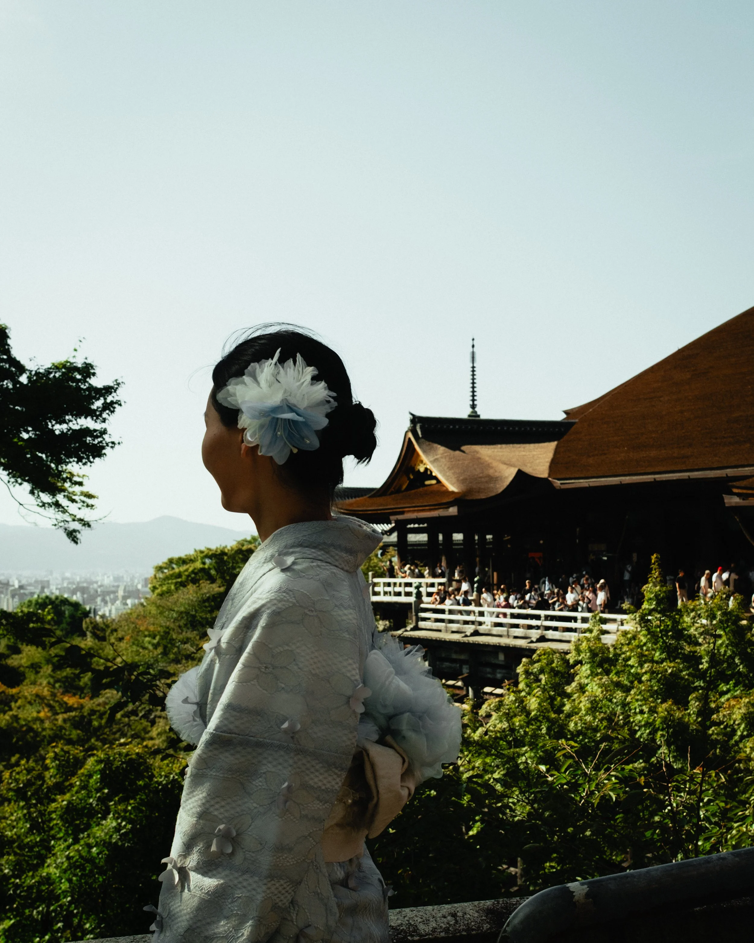 Japan- Fuji_-180.jpg