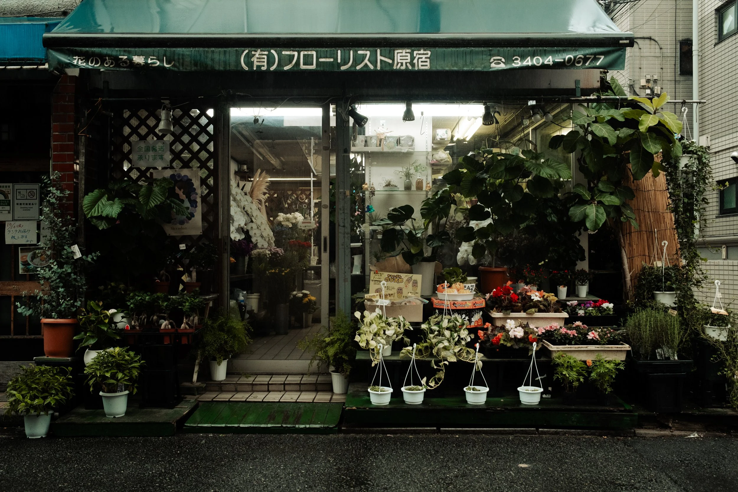Japan- Fuji_-357.jpg