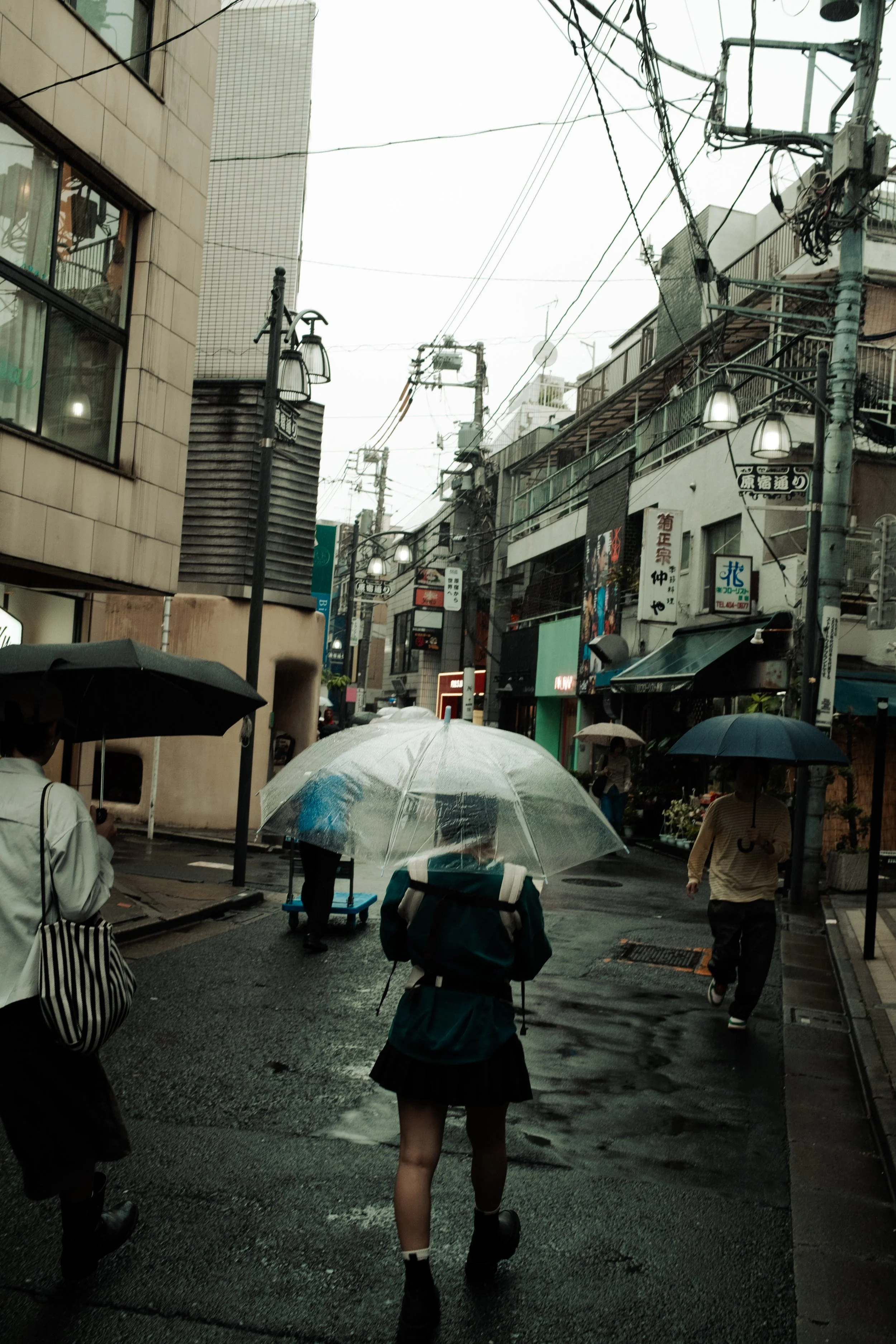 Japan- Fuji_-355.jpg