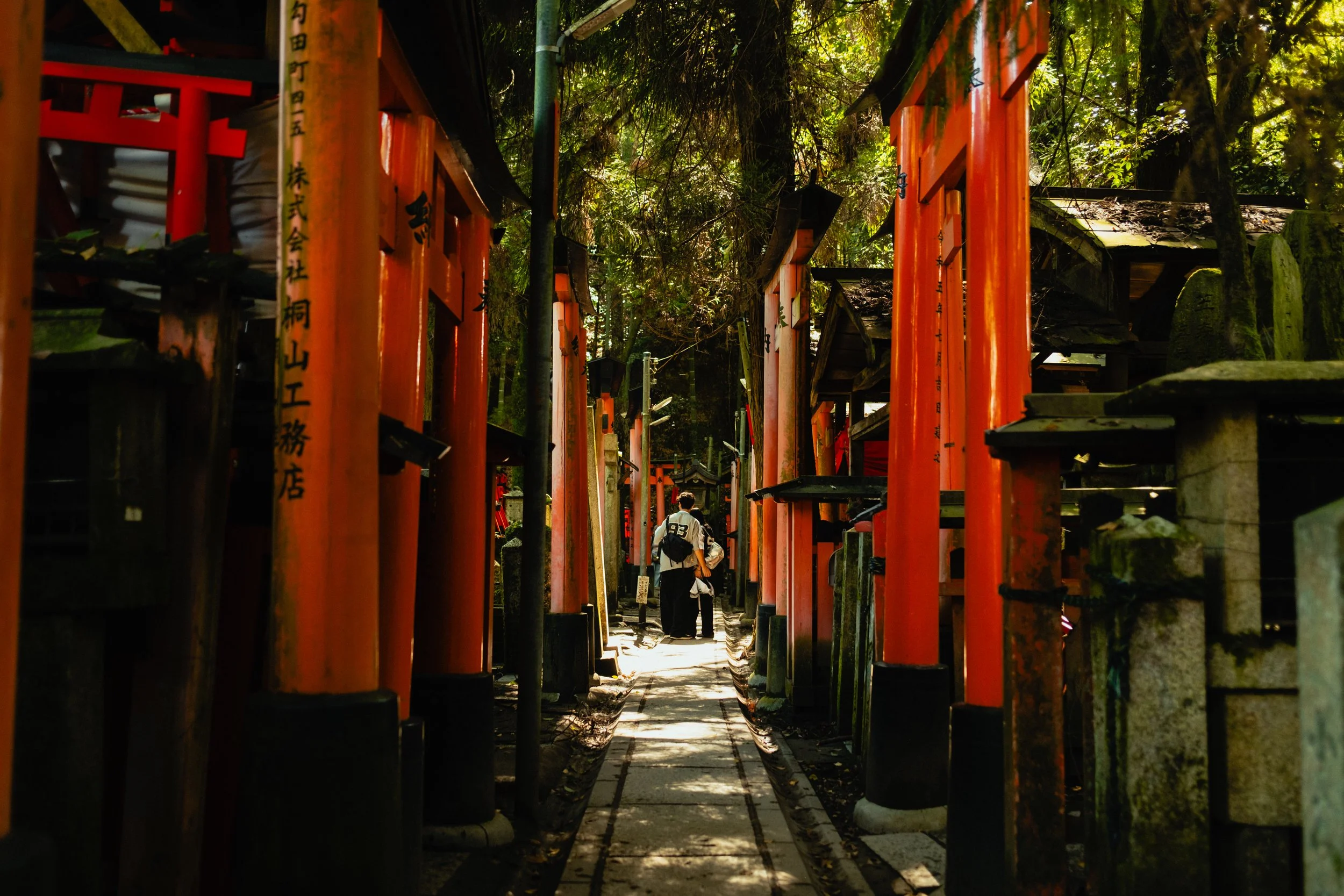 Japan- Fuji_-149.jpg