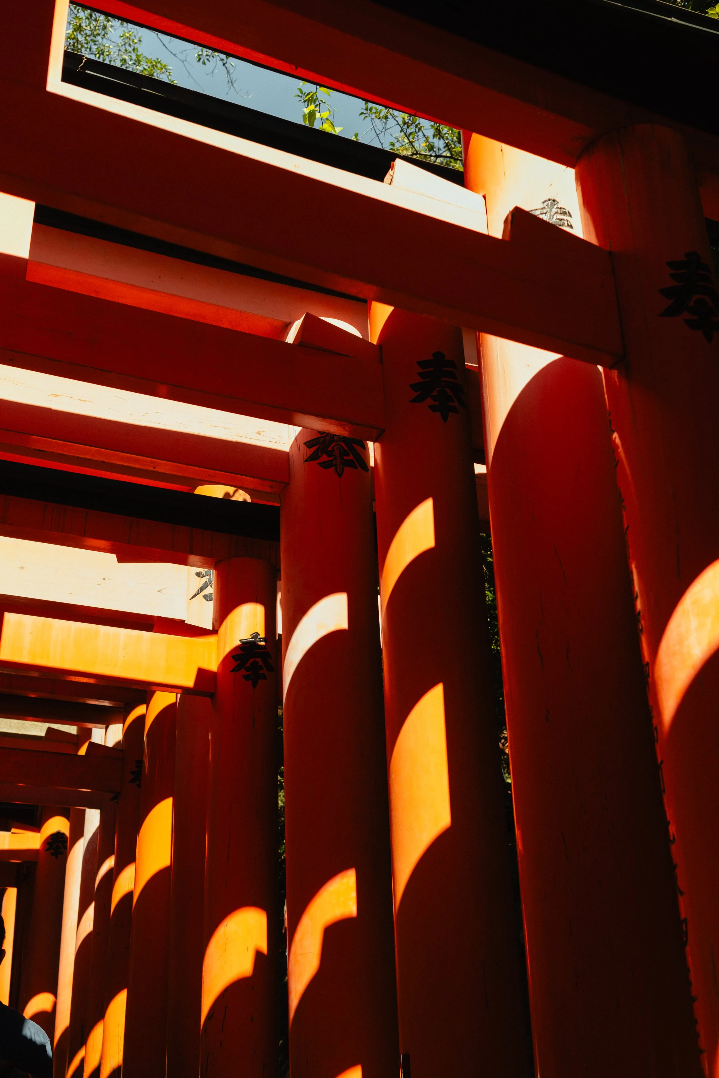 Japan- Fuji_-125.jpg