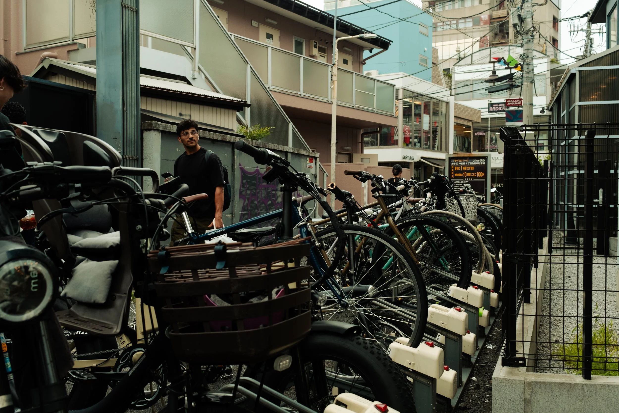 Japan- Fuji_-319.jpg