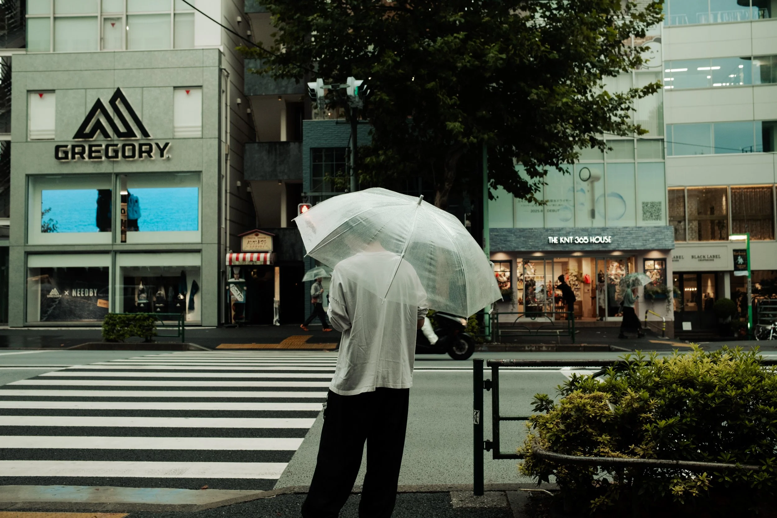 Japan- Fuji_-345.jpg